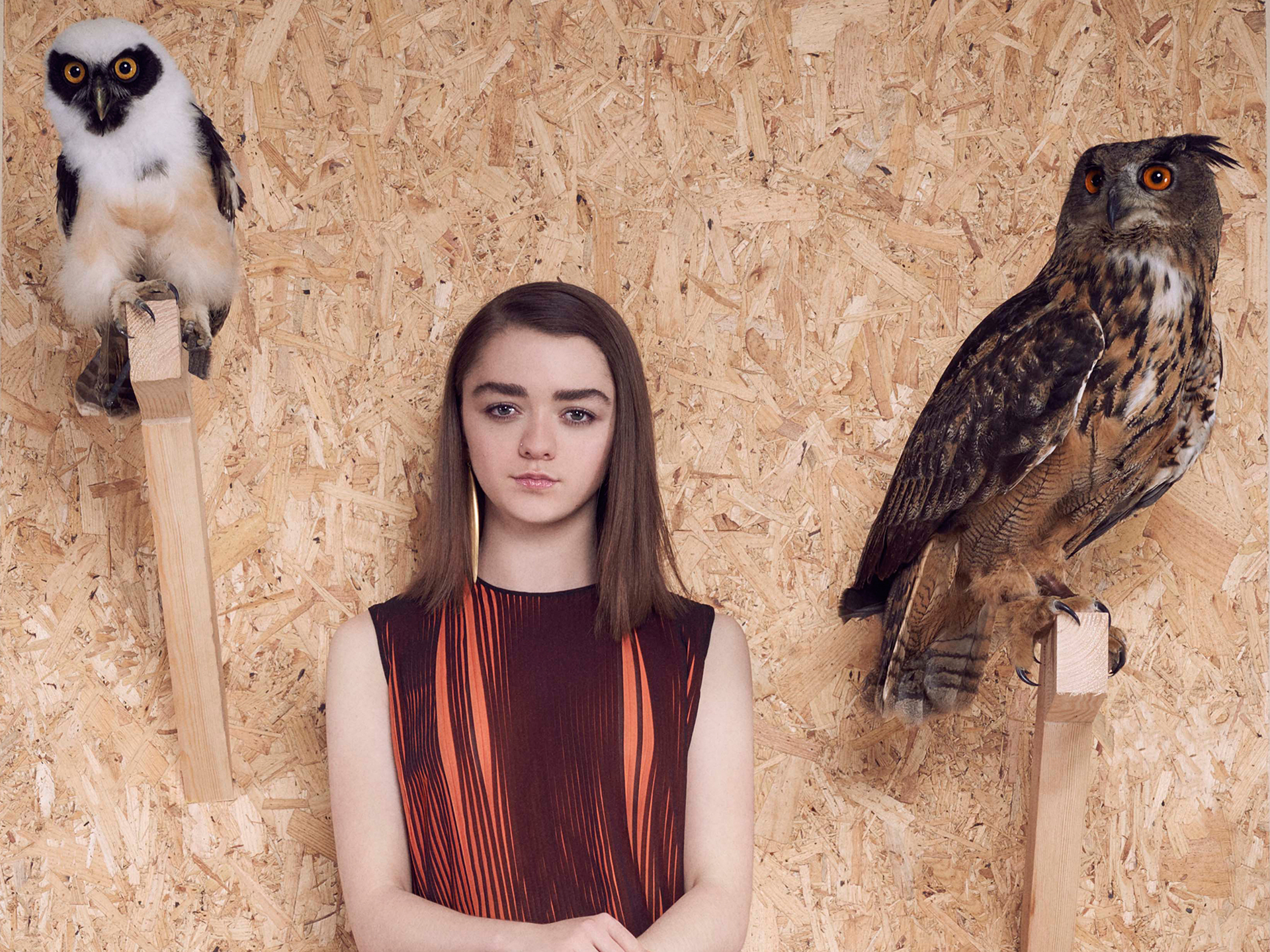 Free download wallpaper Owl, English, Brunette, Celebrity, Actress, Maisie Williams on your PC desktop