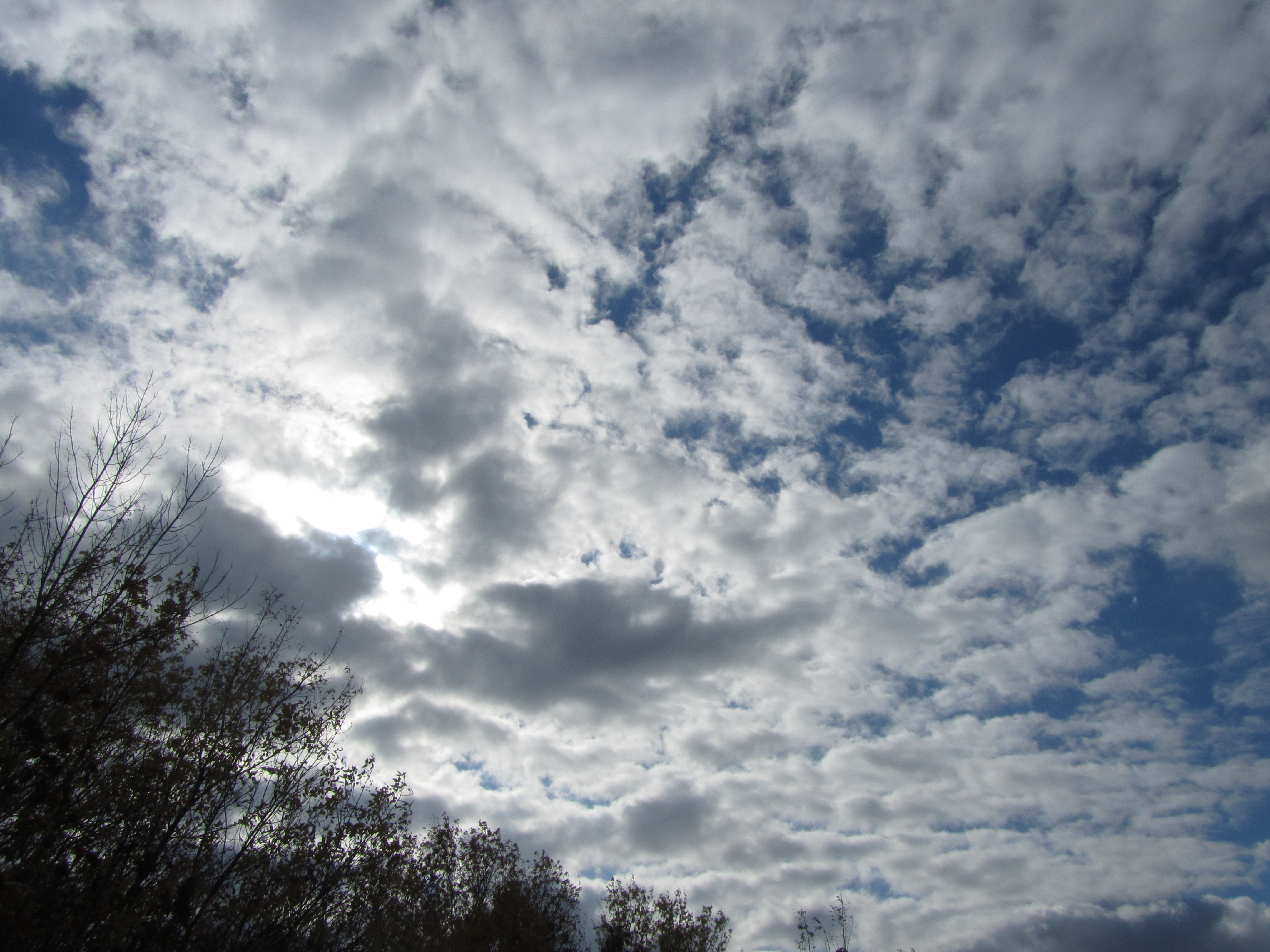 Descarga gratuita de fondo de pantalla para móvil de Nube, Tierra/naturaleza.