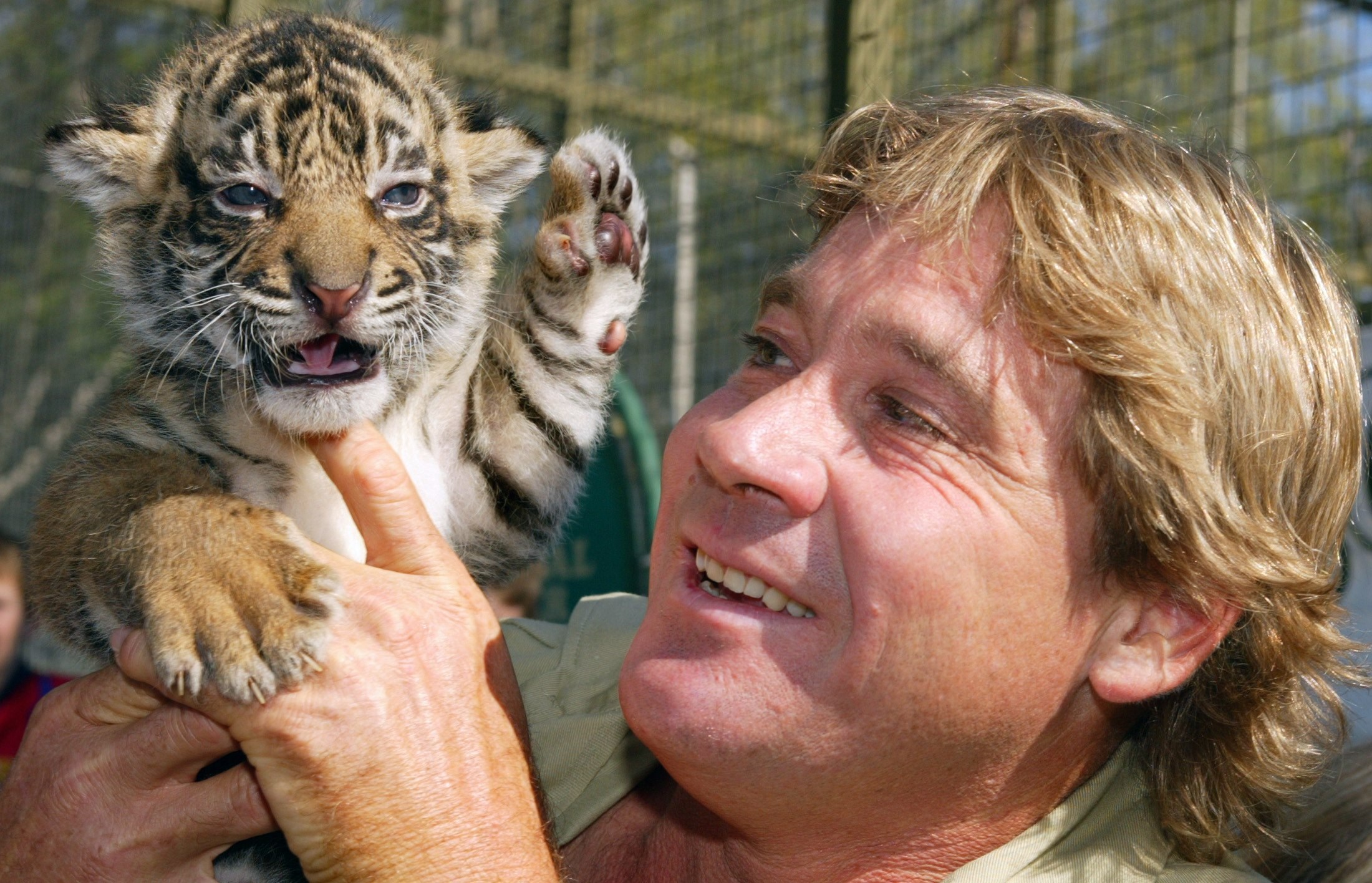 Download mobile wallpaper Tiger, Celebrity, Cub, Steve Irwin for free.