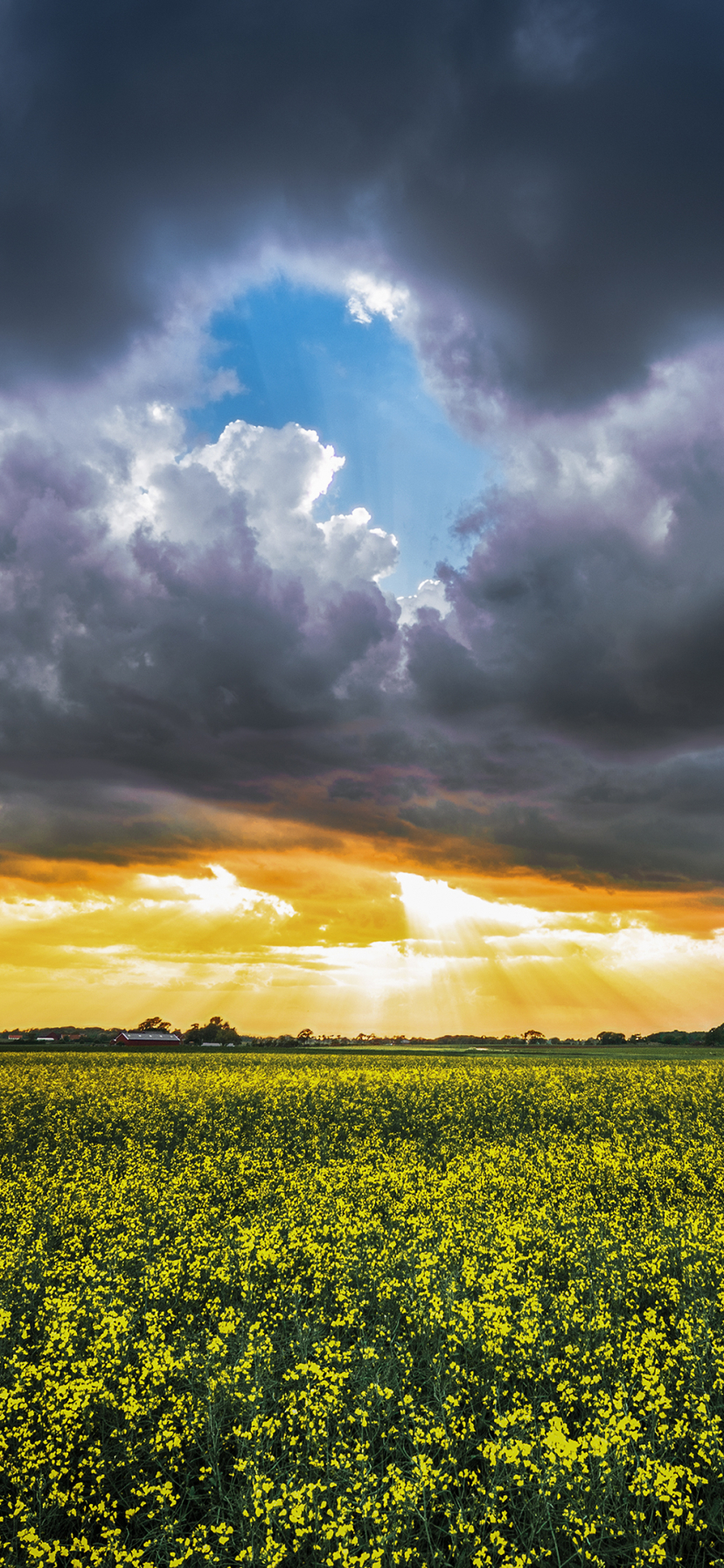 Handy-Wallpaper Feld, Erde/natur kostenlos herunterladen.