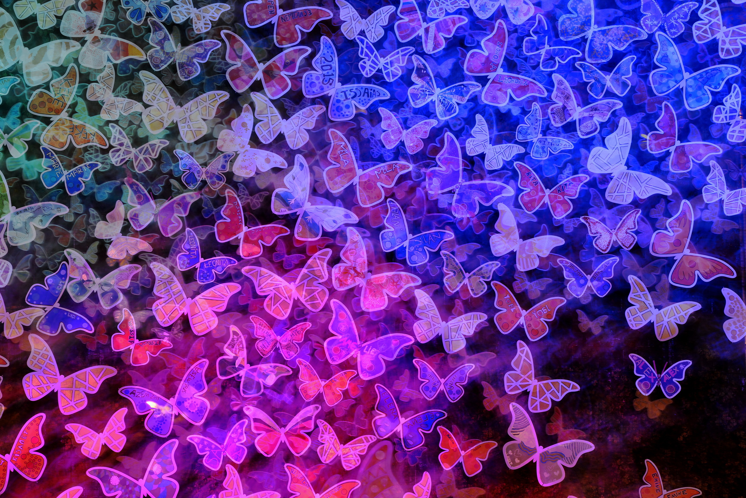 Download mobile wallpaper Pink, Colors, Butterfly, Animal, Colorful for free.