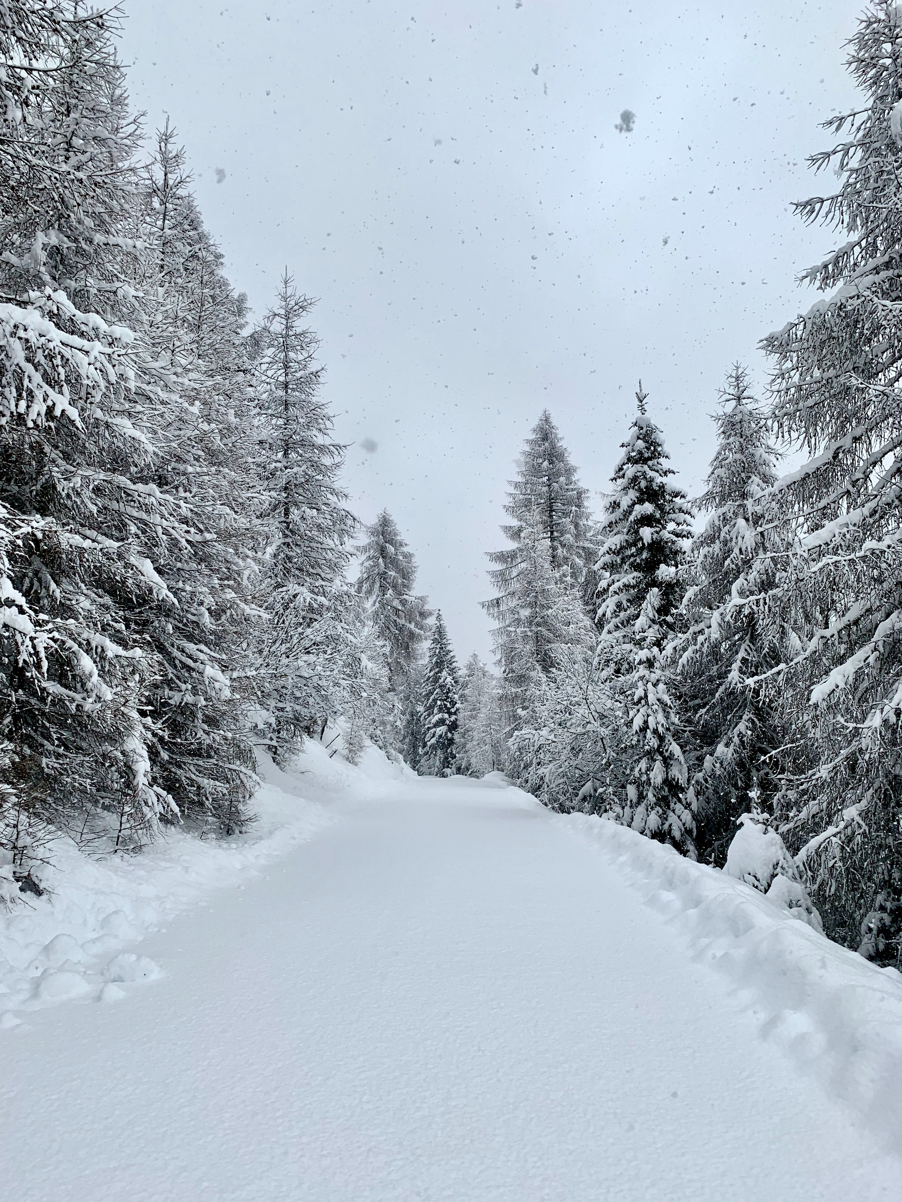 PCデスクトップに冬, 道路, 道, 森, 降雪, 自然, 雪, 森林画像を無料でダウンロード