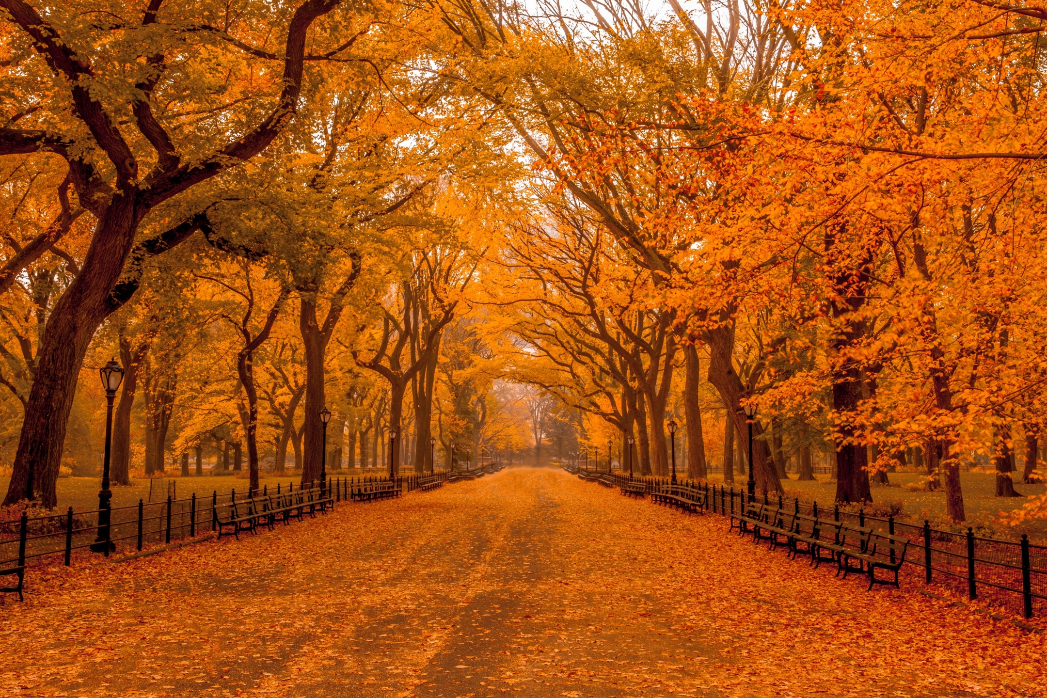 Скачать картинку Осень, Парк, Нью Йорк, Центральный Парк, Падать, Сделано Человеком в телефон бесплатно.