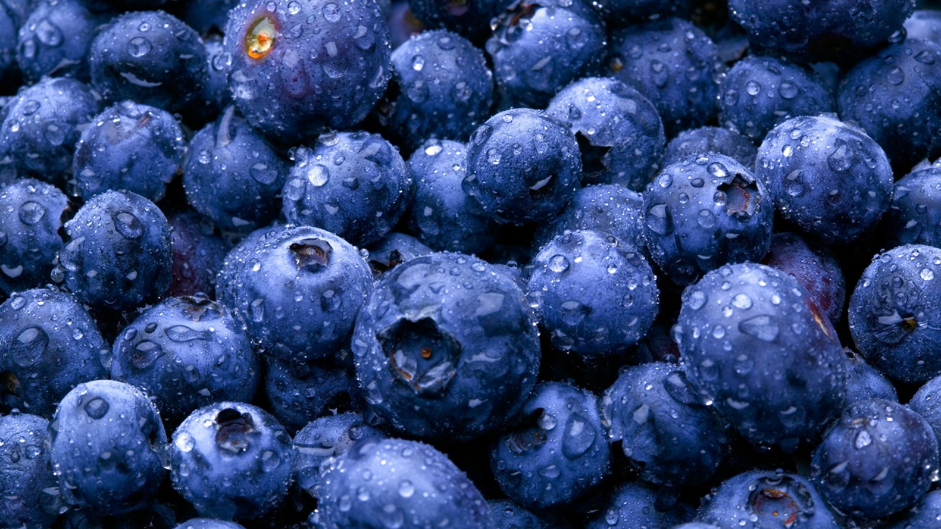 Download mobile wallpaper Food, Blueberry for free.