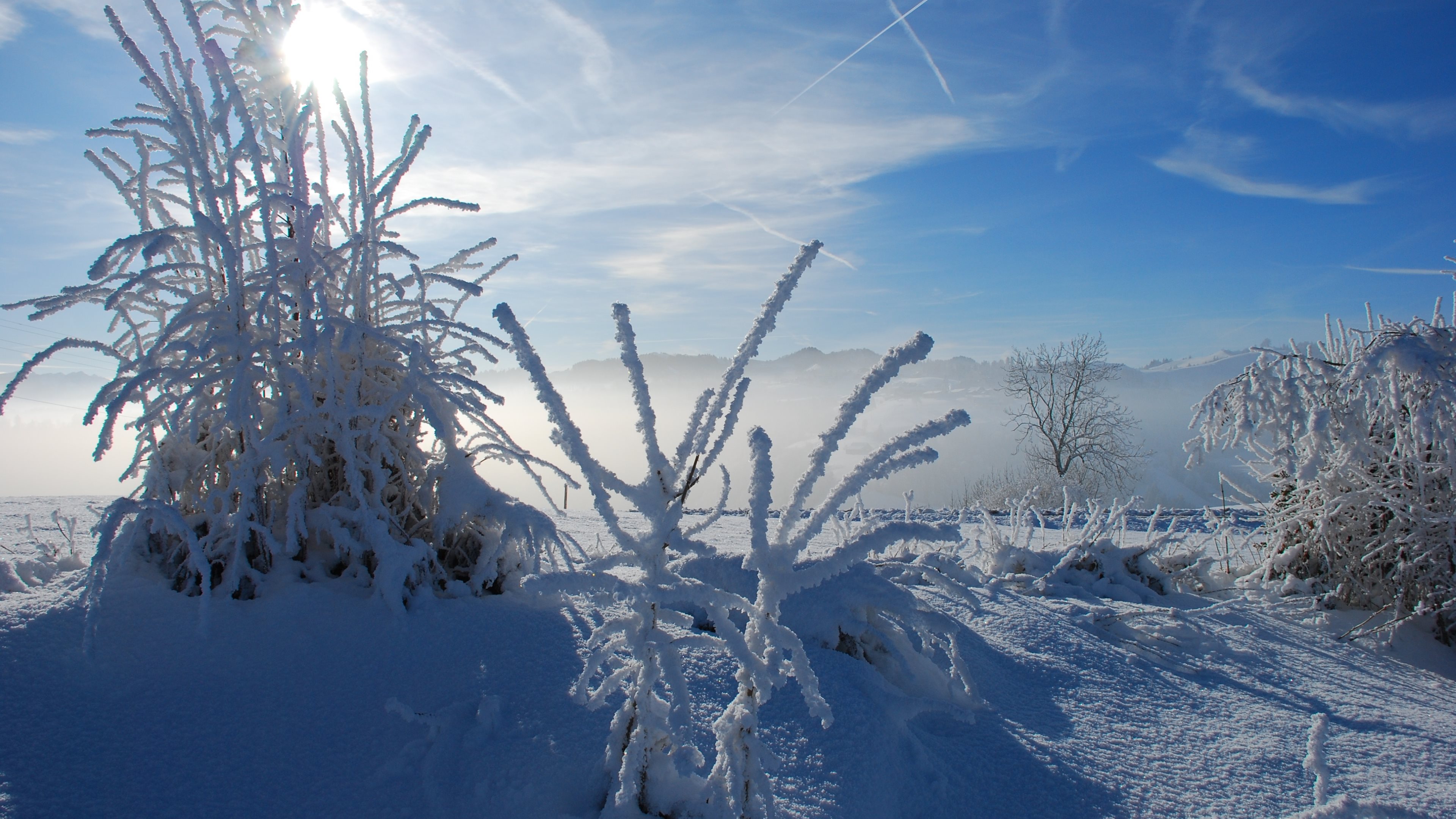 Descarga gratis la imagen Invierno, Nieve, Tierra/naturaleza en el escritorio de tu PC