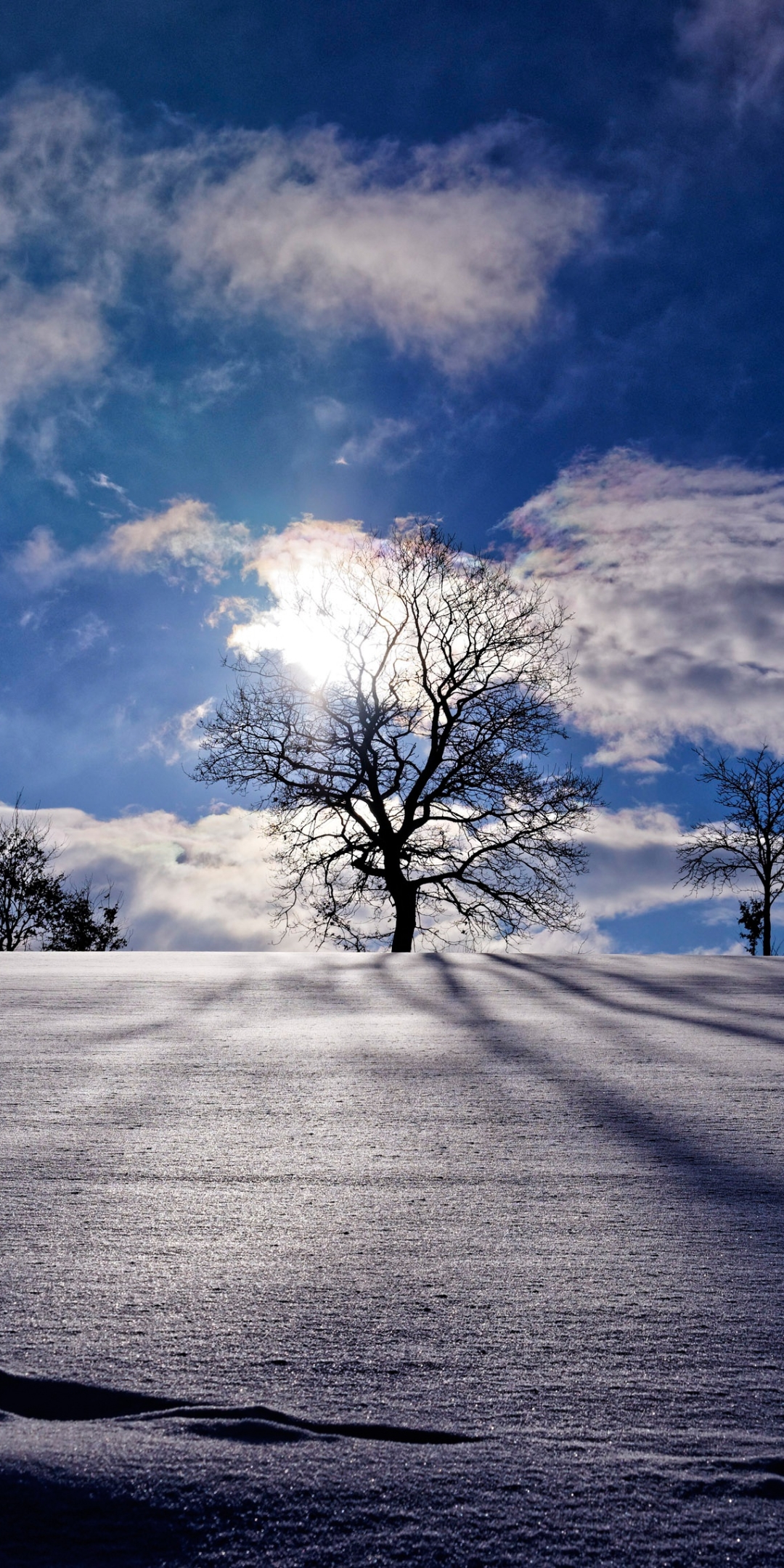 Download mobile wallpaper Winter, Nature, Sky, Snow, Tree, Earth for free.