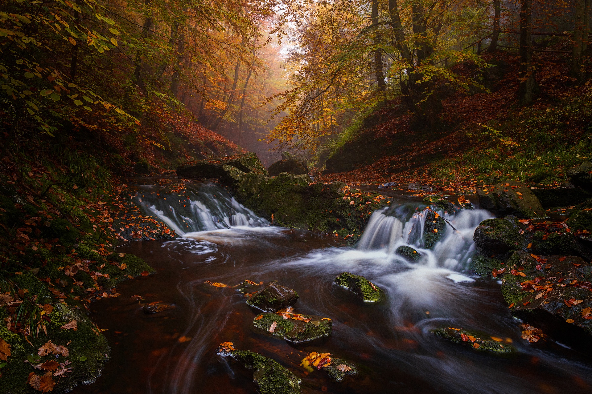 Handy-Wallpaper Herbst, Wasserfälle, Wasserfall, Wald, Fluss, Belgien, Erde/natur kostenlos herunterladen.