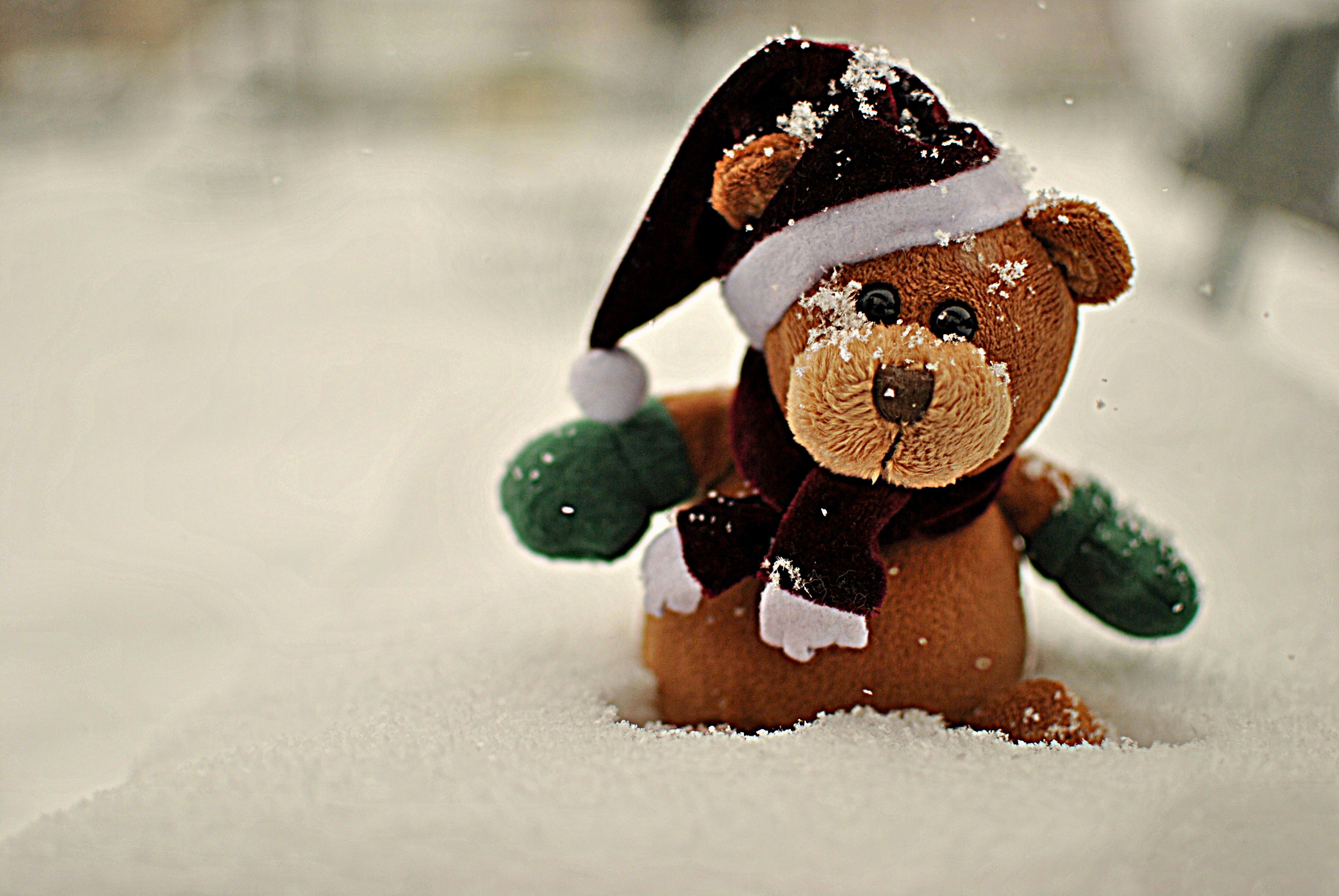 Скачати мобільні шпалери Ведмедик Тедді, Ведмідь, Капелюх Діда Мороза, Різдво, Свято безкоштовно.