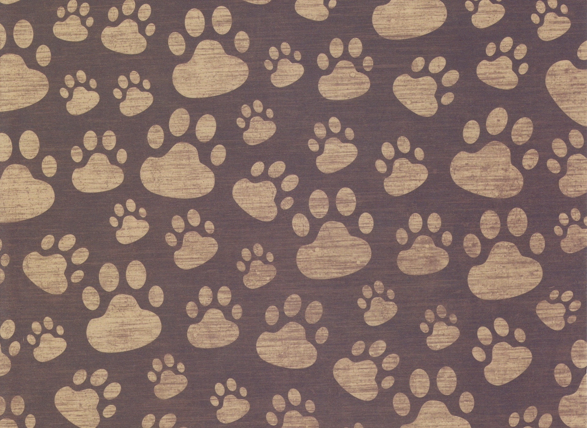 Download mobile wallpaper Paws, Traces, Surface, Texture, Textures for free.