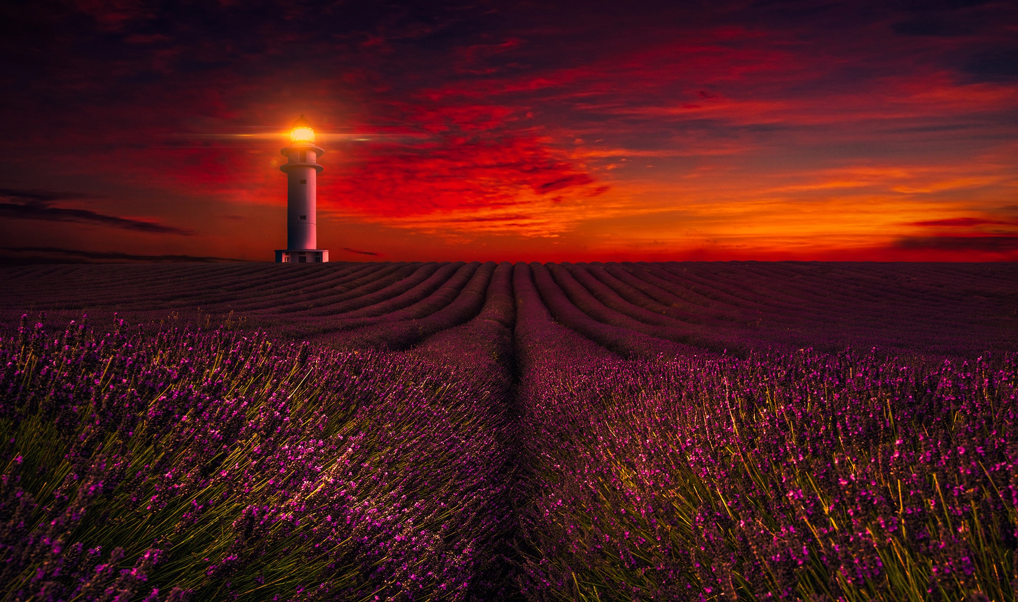 Download mobile wallpaper Night, Lighthouse, Lavender, Purple Flower, Man Made for free.