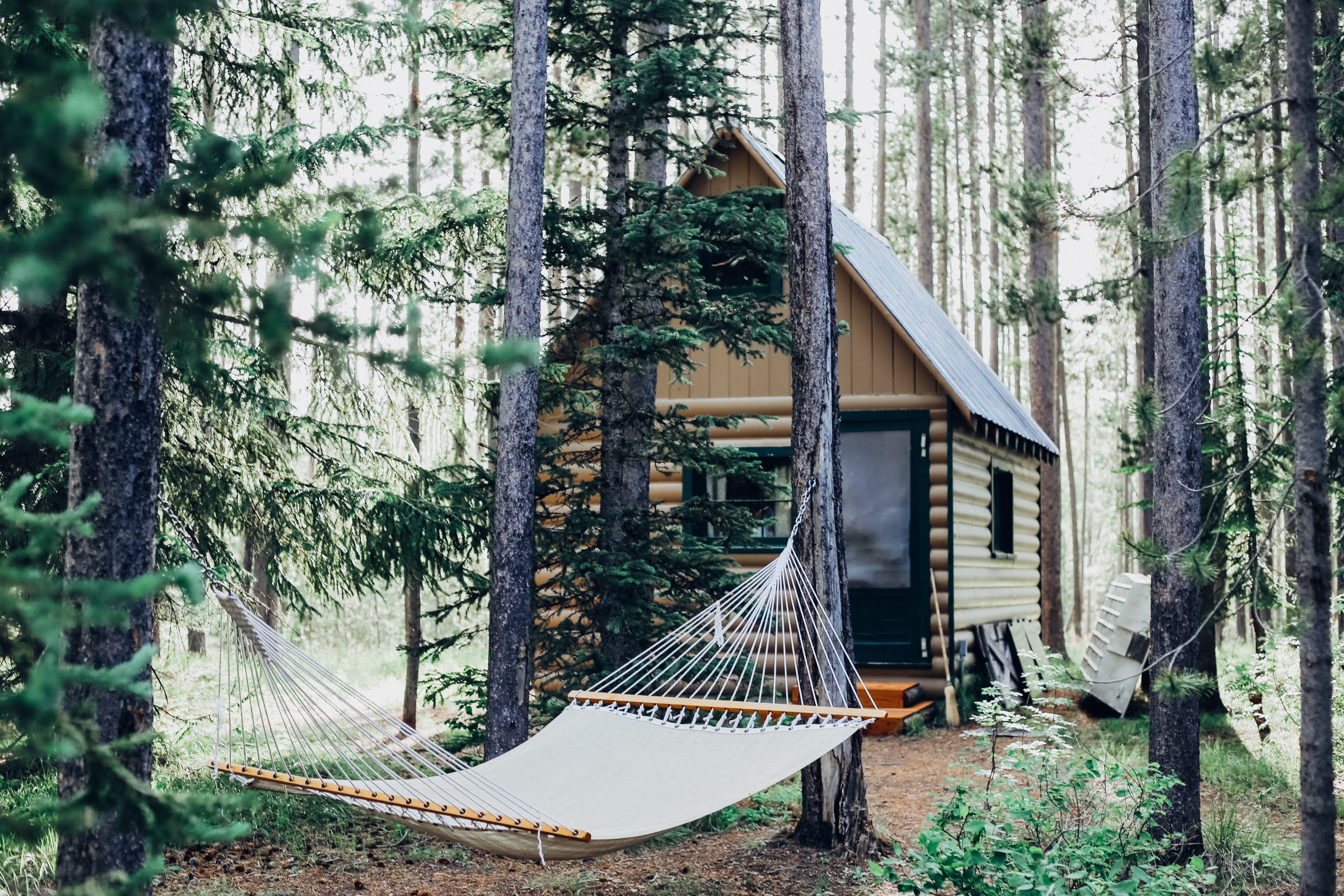 Download mobile wallpaper Hammock, Forest, Nature, Structure for free.