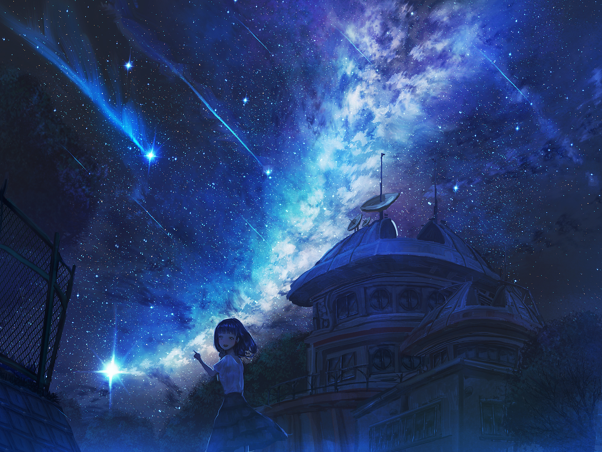 Laden Sie das Original, Sternschnuppe, Animes, Sternenklarer Himmel-Bild kostenlos auf Ihren PC-Desktop herunter