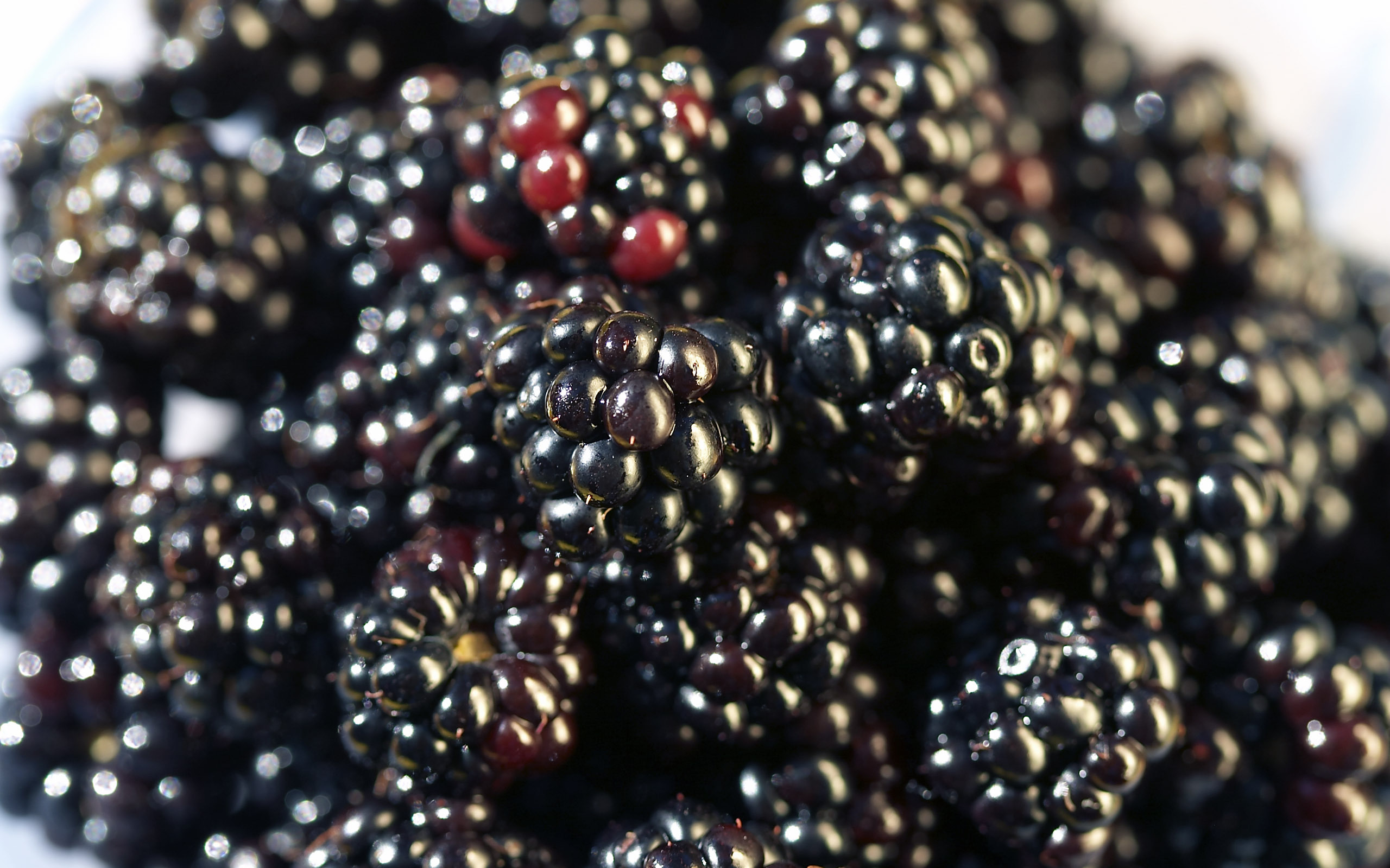 Free download wallpaper Background, Berries, Fruits, Food, Blackberry on your PC desktop