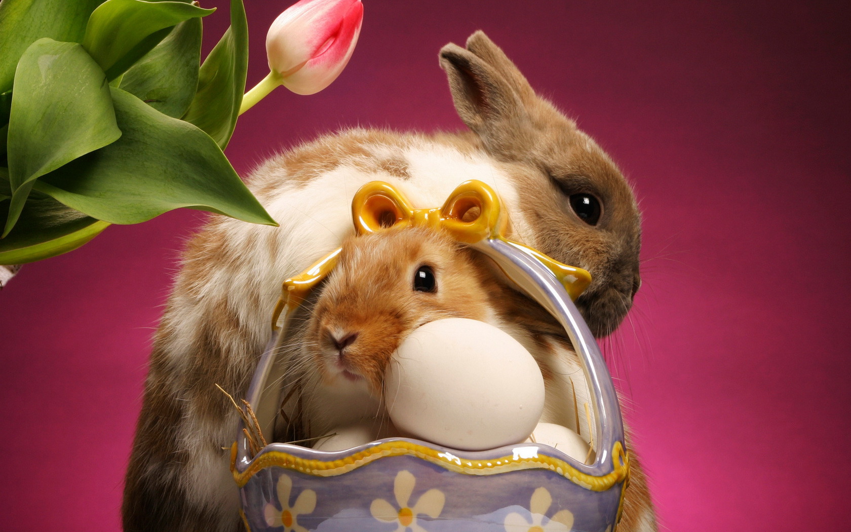 Download mobile wallpaper Easter, Holiday for free.