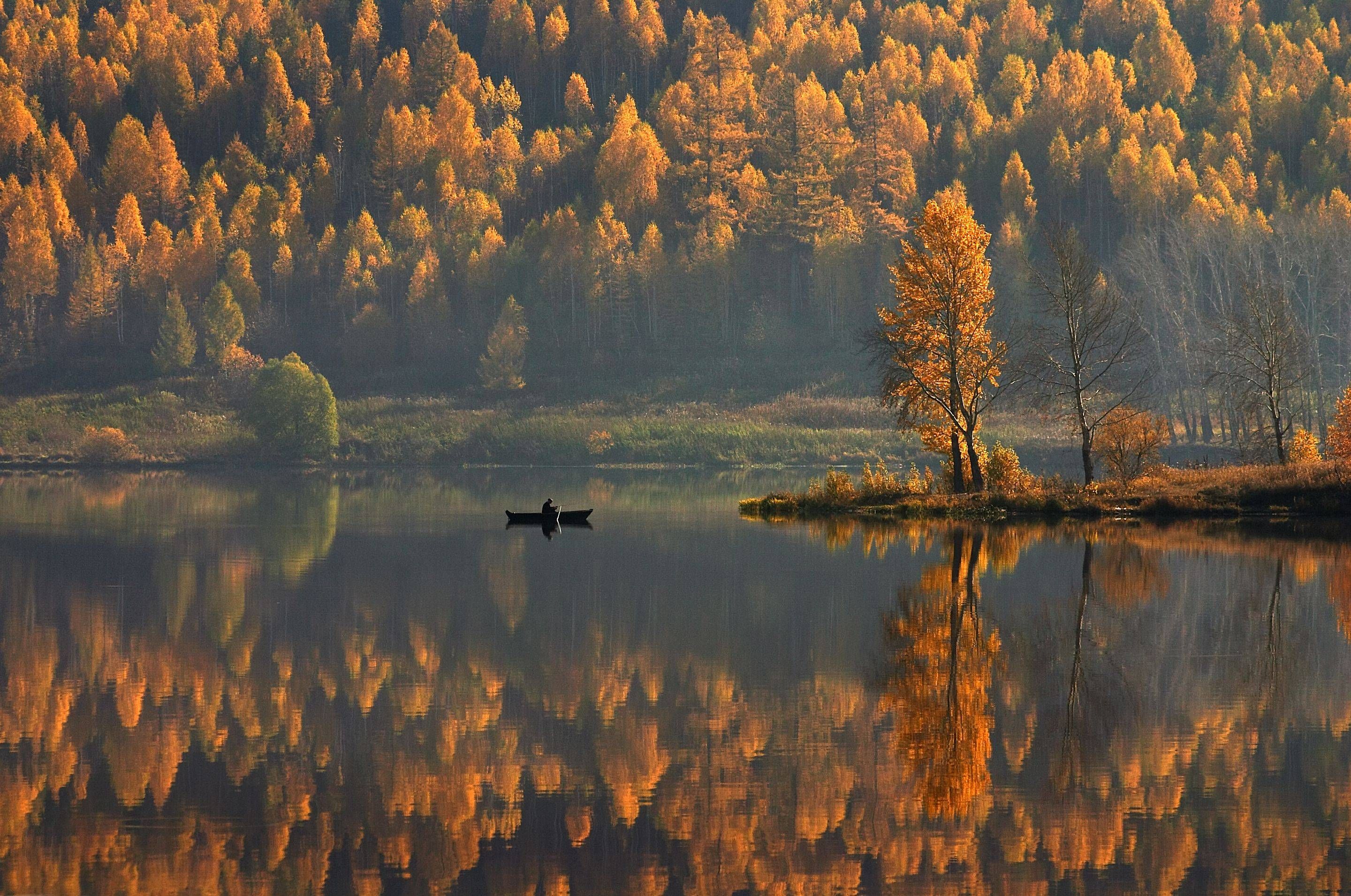 Скачать картинку Осень, Озера, Озеро, Туман, Фотографии в телефон бесплатно.