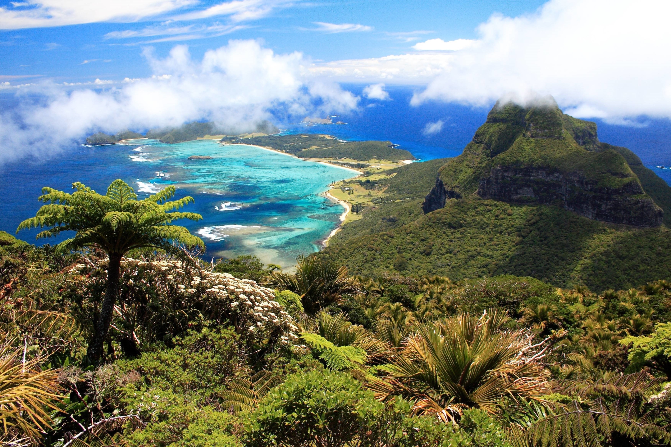 Descarga gratis la imagen Costa, Bosque, Nube, Australia, Tierra/naturaleza, Palmera en el escritorio de tu PC