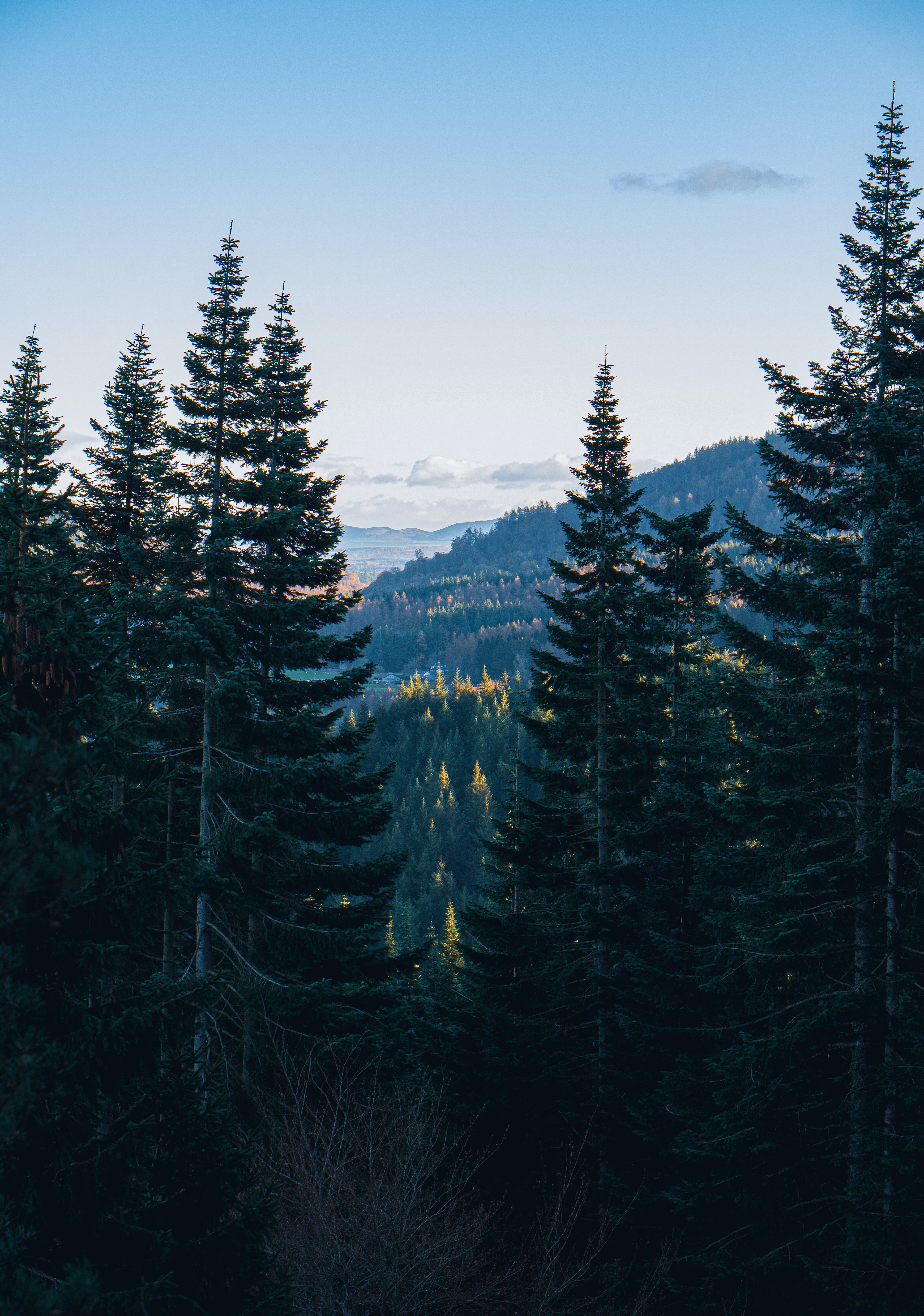 PCデスクトップに自然, 山脈, 森, 木, 森林, 風景画像を無料でダウンロード