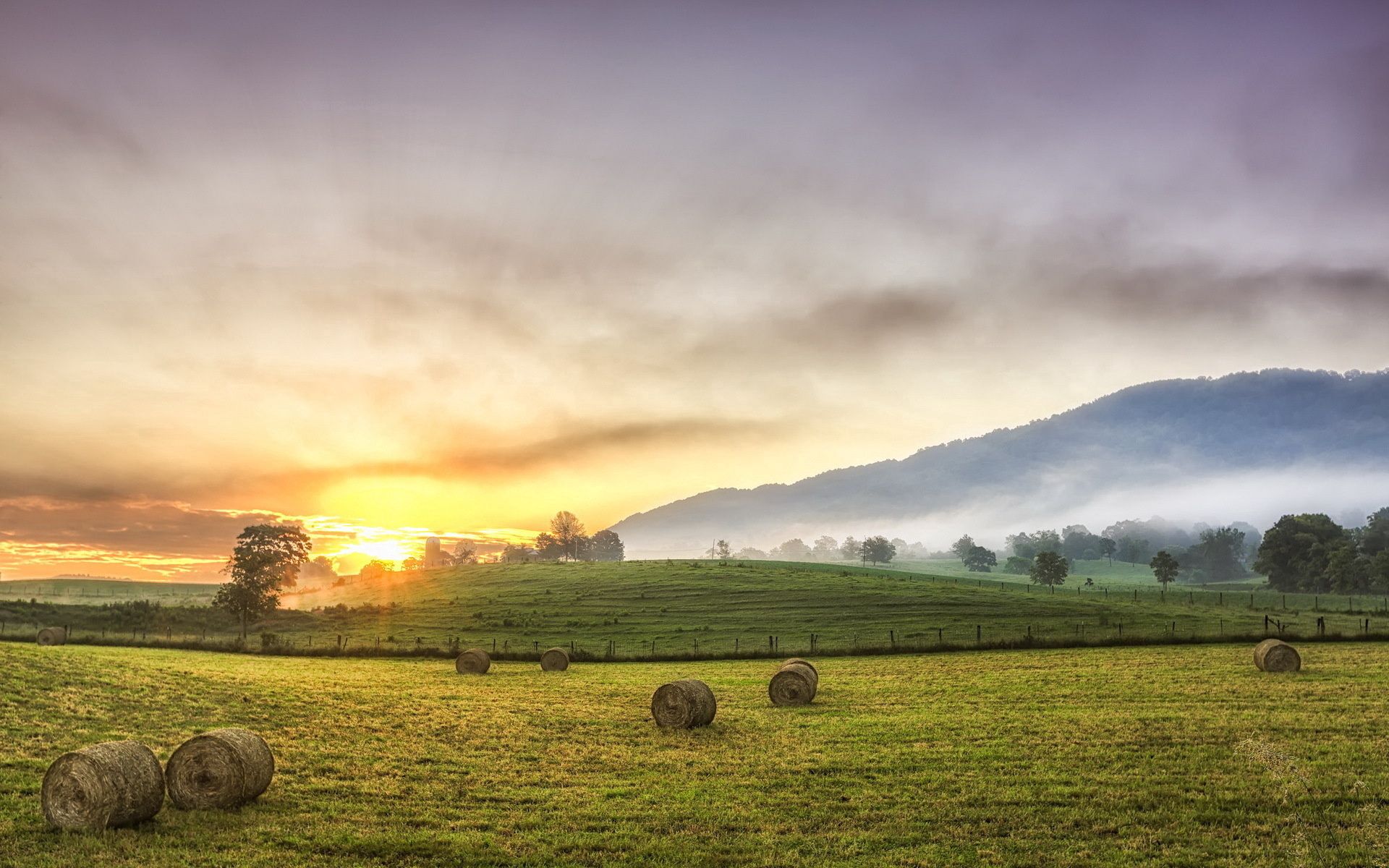 nature, trees, mountains, sun, fog, polyana, glade, hay, serenity, bales, august