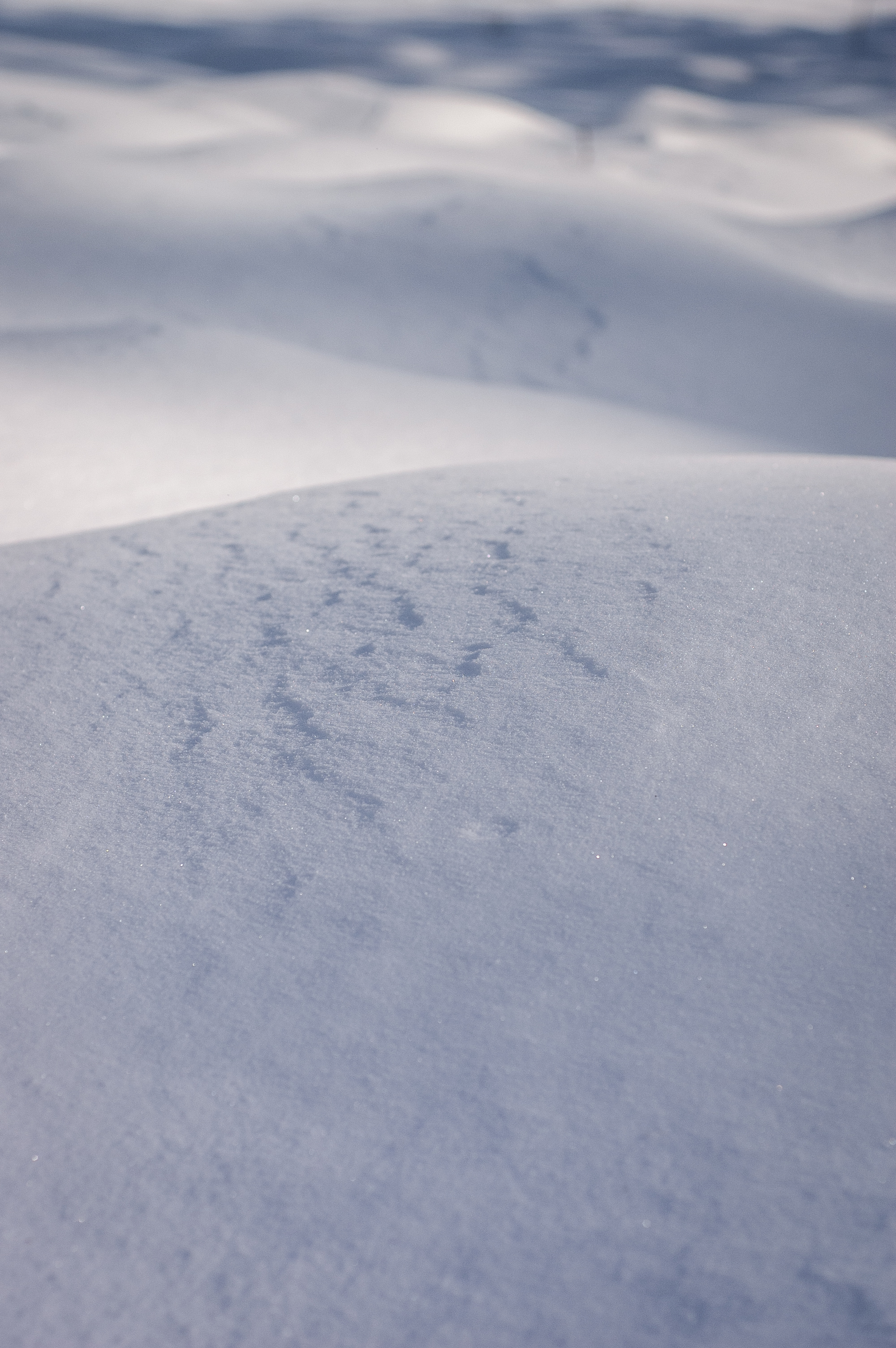 Скачать картинку Холмы, Белый, Снег, Природа, Зима в телефон бесплатно.