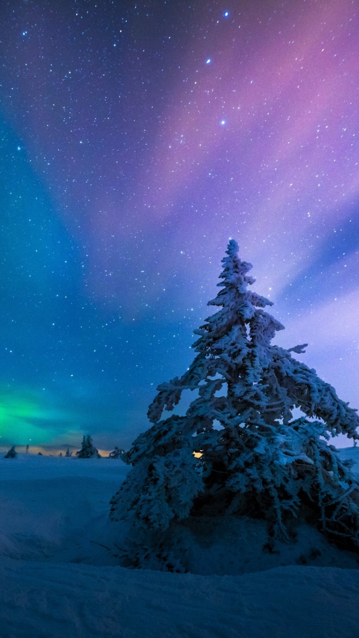 Download mobile wallpaper Winter, Sky, Stars, Night, Snow, Tree, Starry Sky, Earth, Aurora Borealis for free.