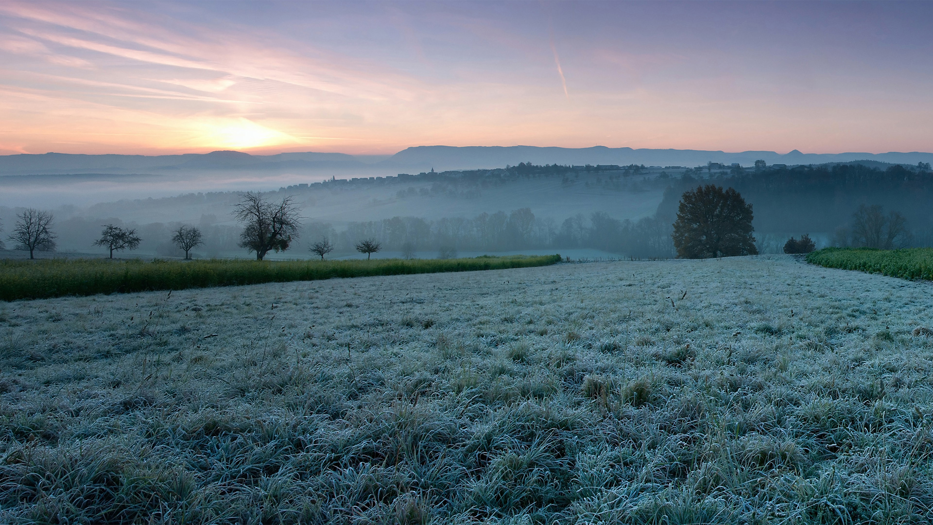 Free download wallpaper Grass, Sunrise, Earth, Field on your PC desktop