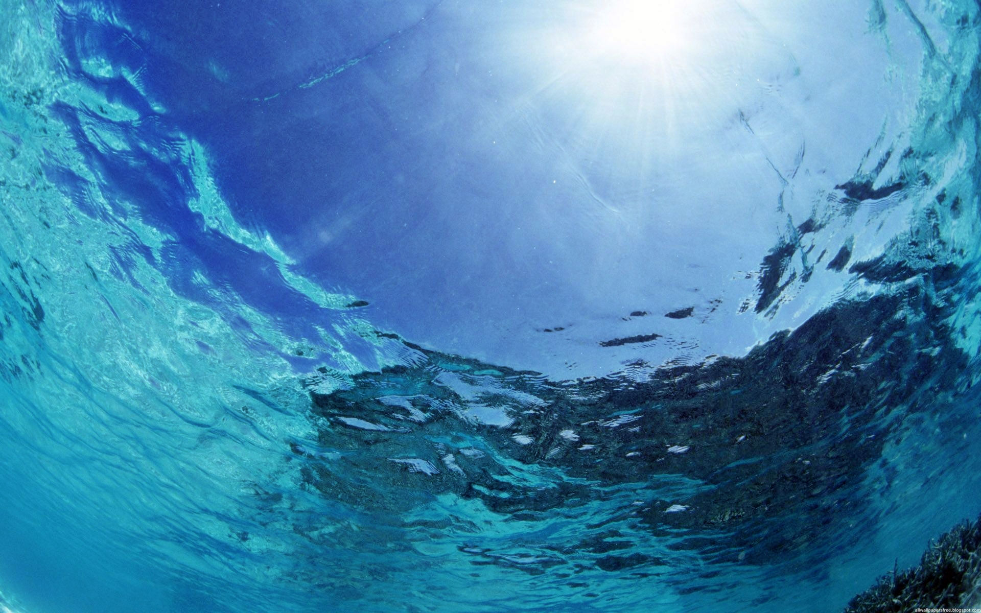 Download mobile wallpaper Water, Underwater, Ocean, Earth for free.
