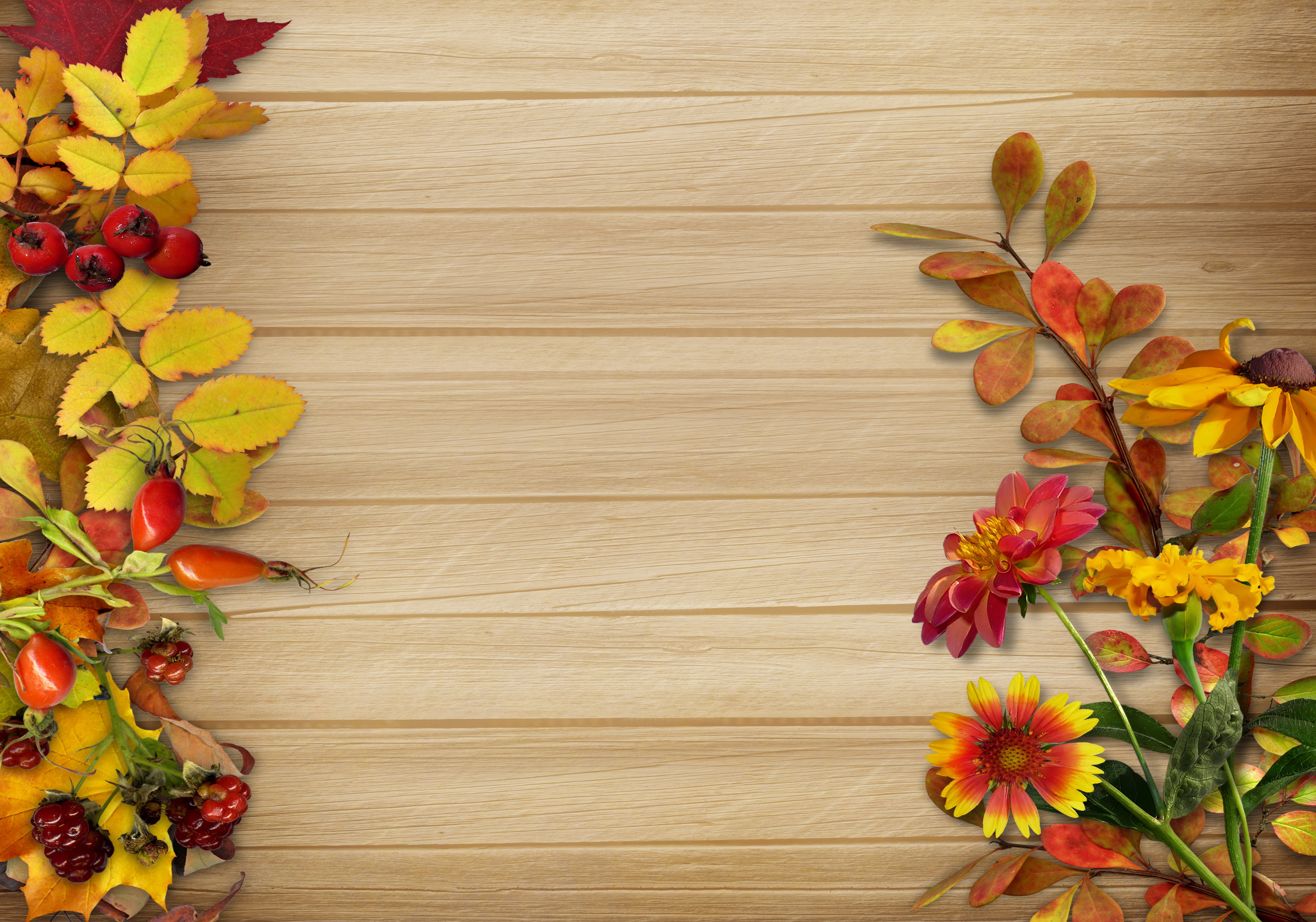 Download mobile wallpaper Flower, Leaf, Fall, Colors, Berry, Artistic for free.