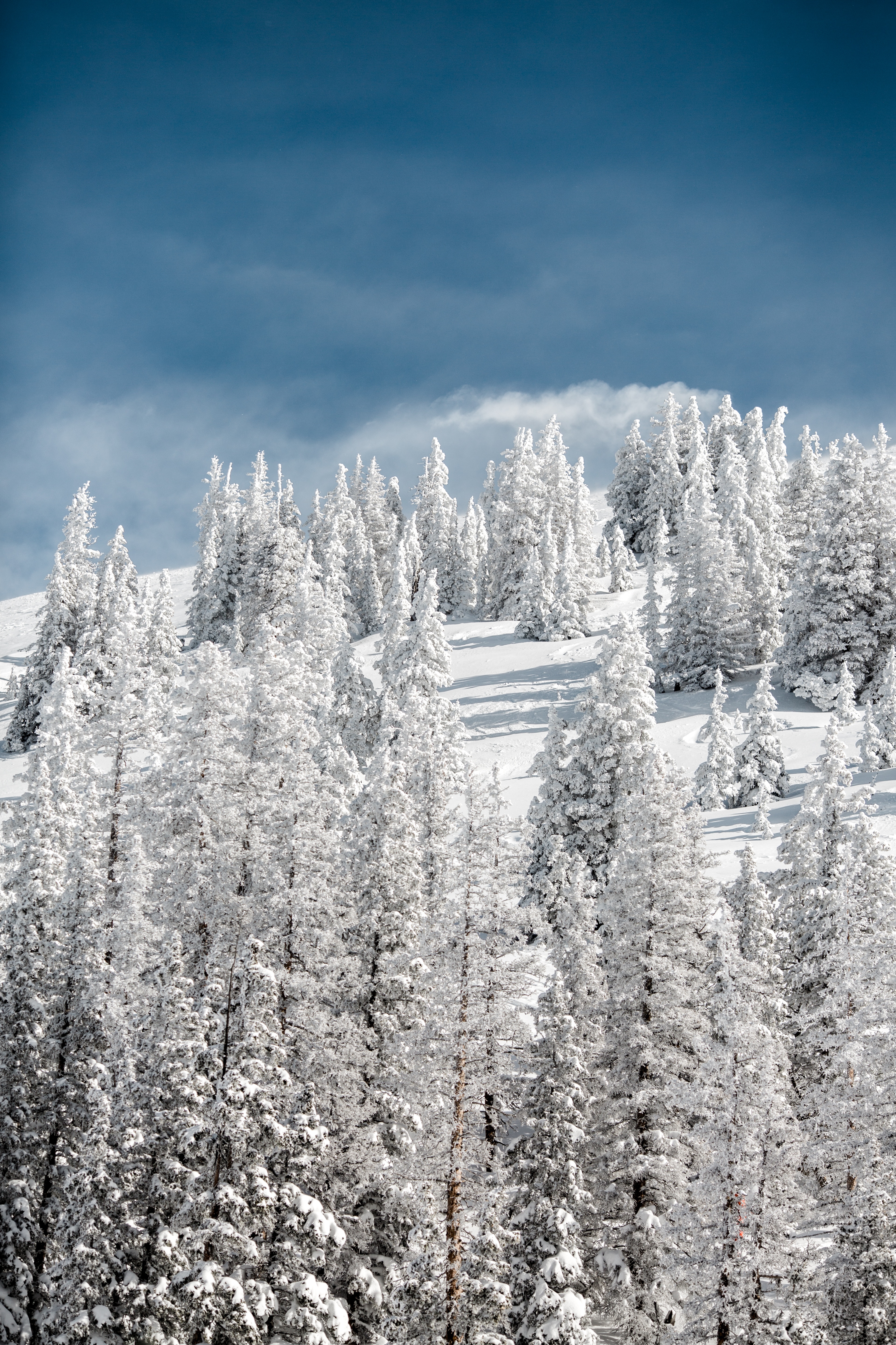 Скачать обои бесплатно Возвышенность, Снег, Заснеженный, Природа, Деревья, Небо, Зима картинка на рабочий стол ПК