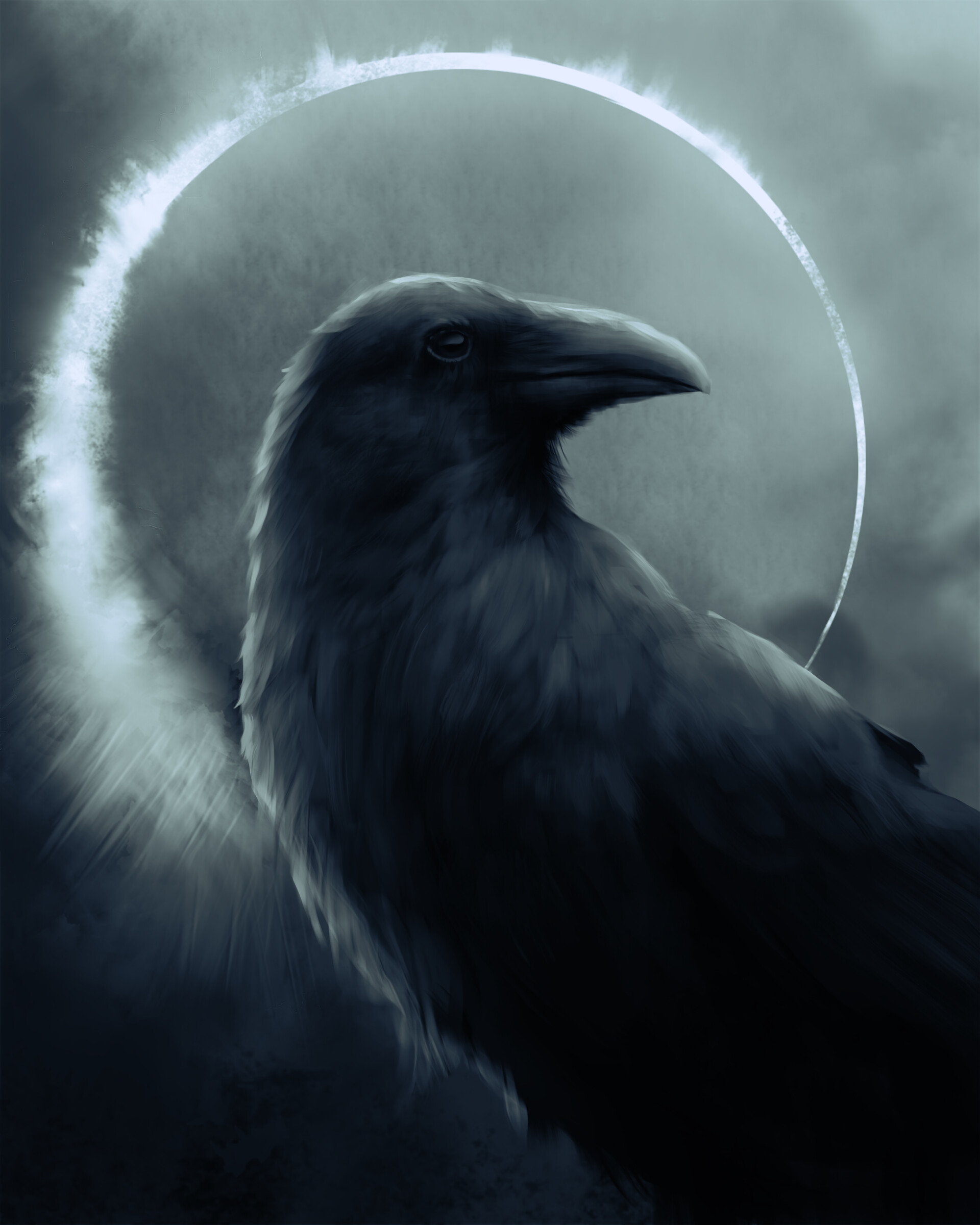 raven, art, dark, bird, circle Full HD