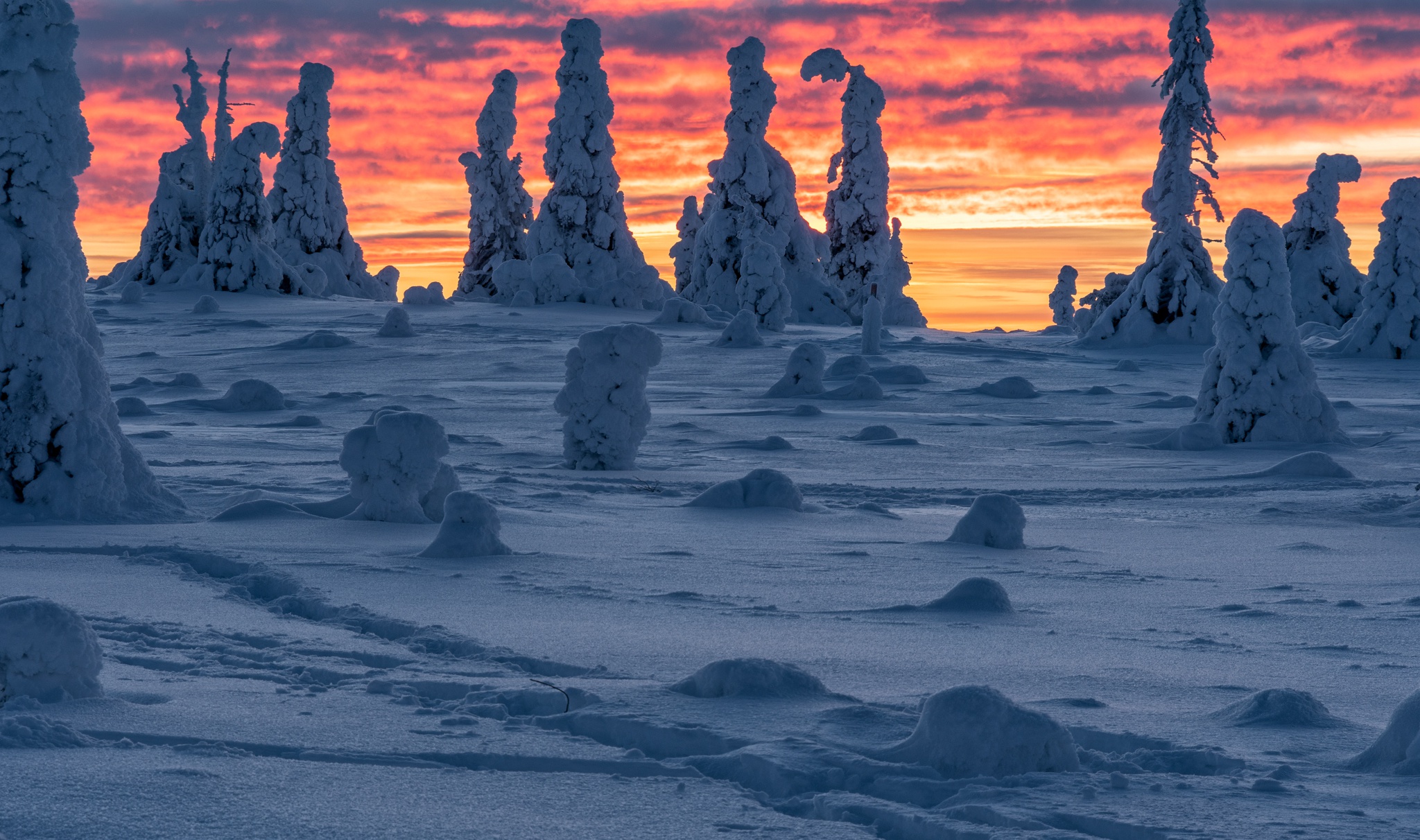 Скачать картинку Зима, Природа, Снег, Ландшафт, Финляндия, Земля/природа в телефон бесплатно.