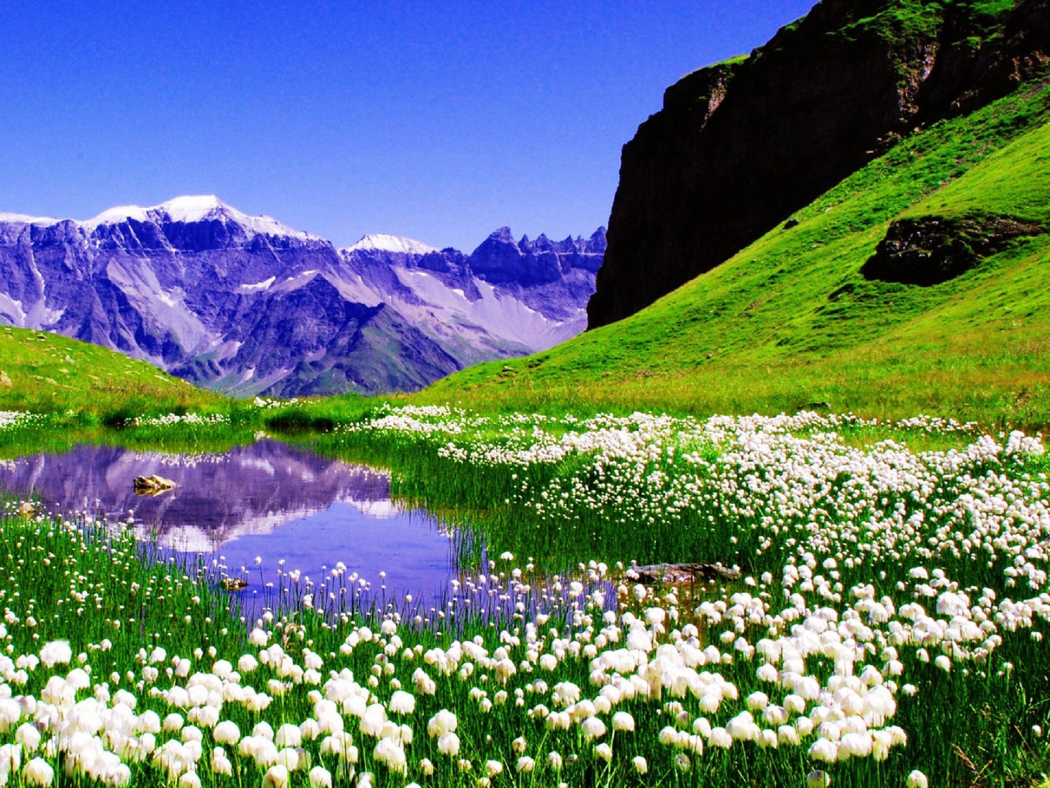 Free download wallpaper Earth, Spring on your PC desktop