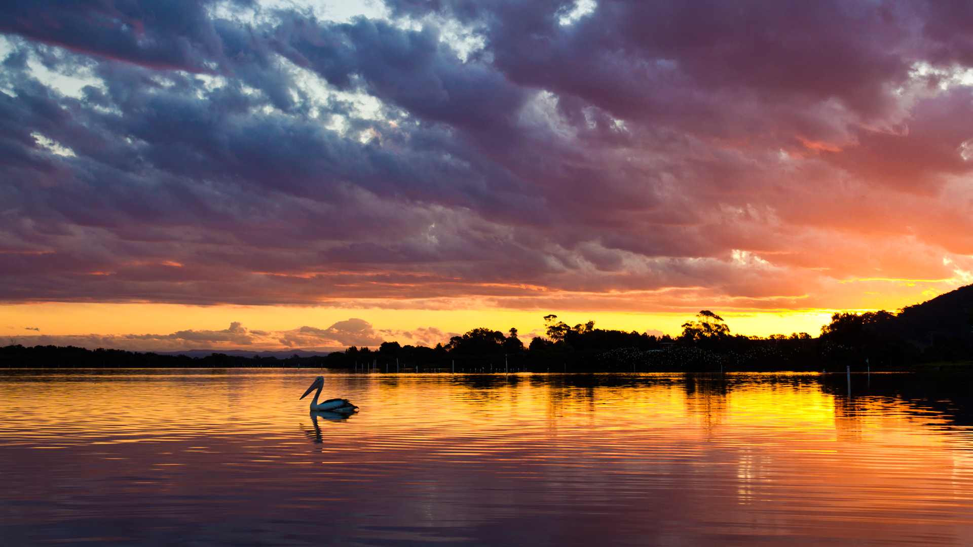 Descarga gratuita de fondo de pantalla para móvil de Atardecer, Tierra/naturaleza.