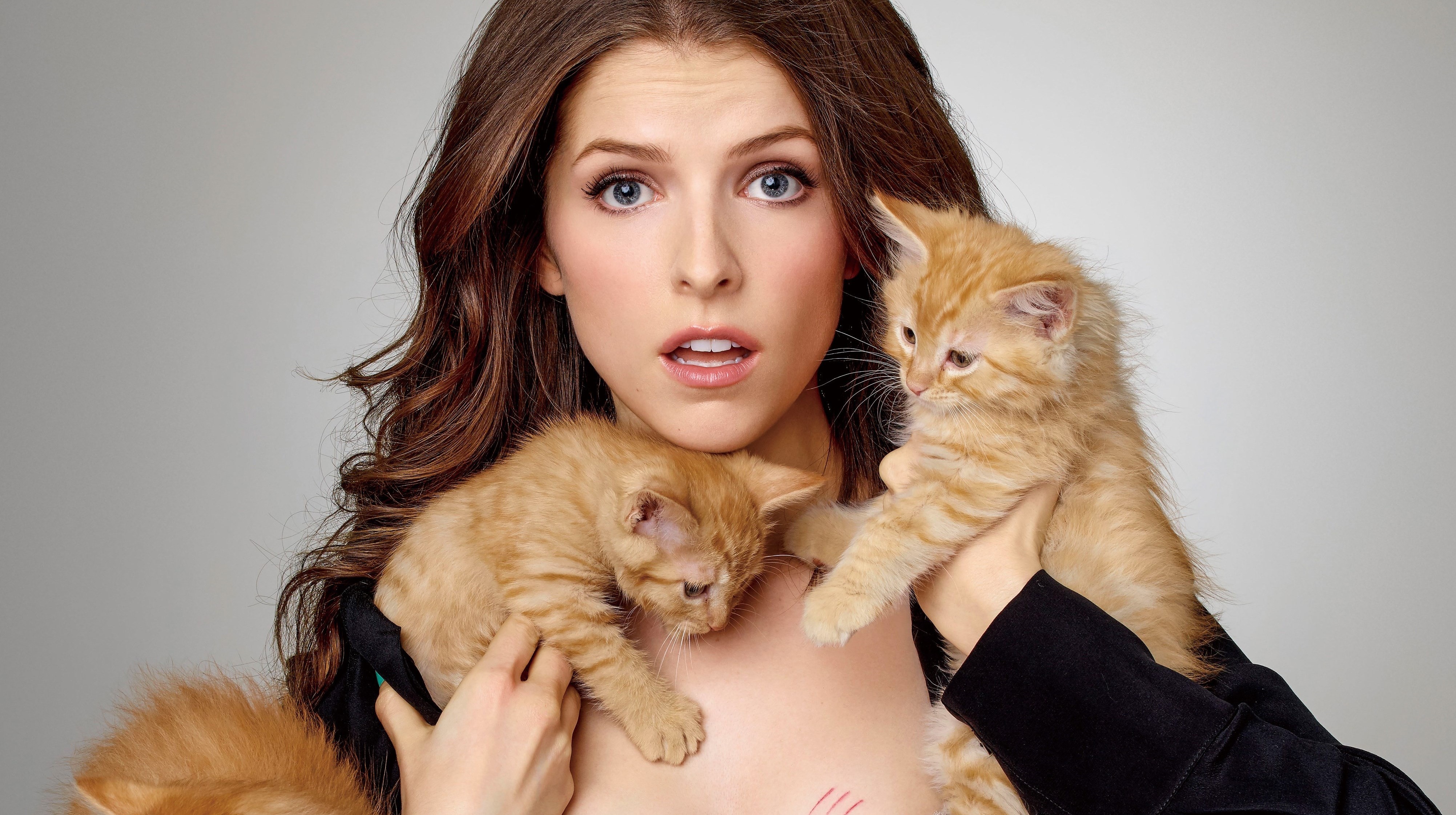 Free download wallpaper Cat, Kitten, Brunette, Blue Eyes, American, Celebrity, Baby Animal, Actress, Anna Kendrick on your PC desktop
