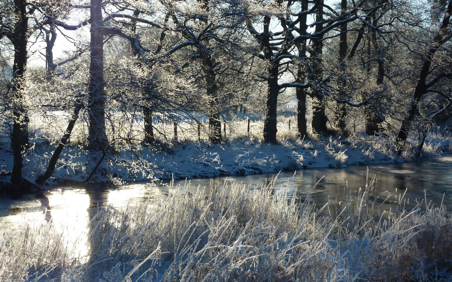 Laden Sie das Winter, Erde/natur-Bild kostenlos auf Ihren PC-Desktop herunter