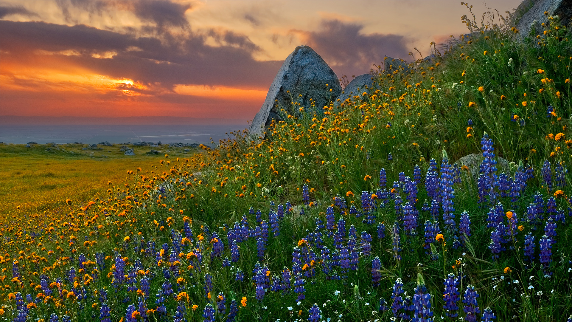 Descarga gratis la imagen Paisaje, Tierra/naturaleza en el escritorio de tu PC