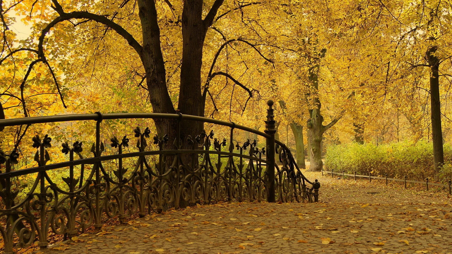 Скачать обои бесплатно Осень, Парк, Дерево, Ограда, Фотографии картинка на рабочий стол ПК