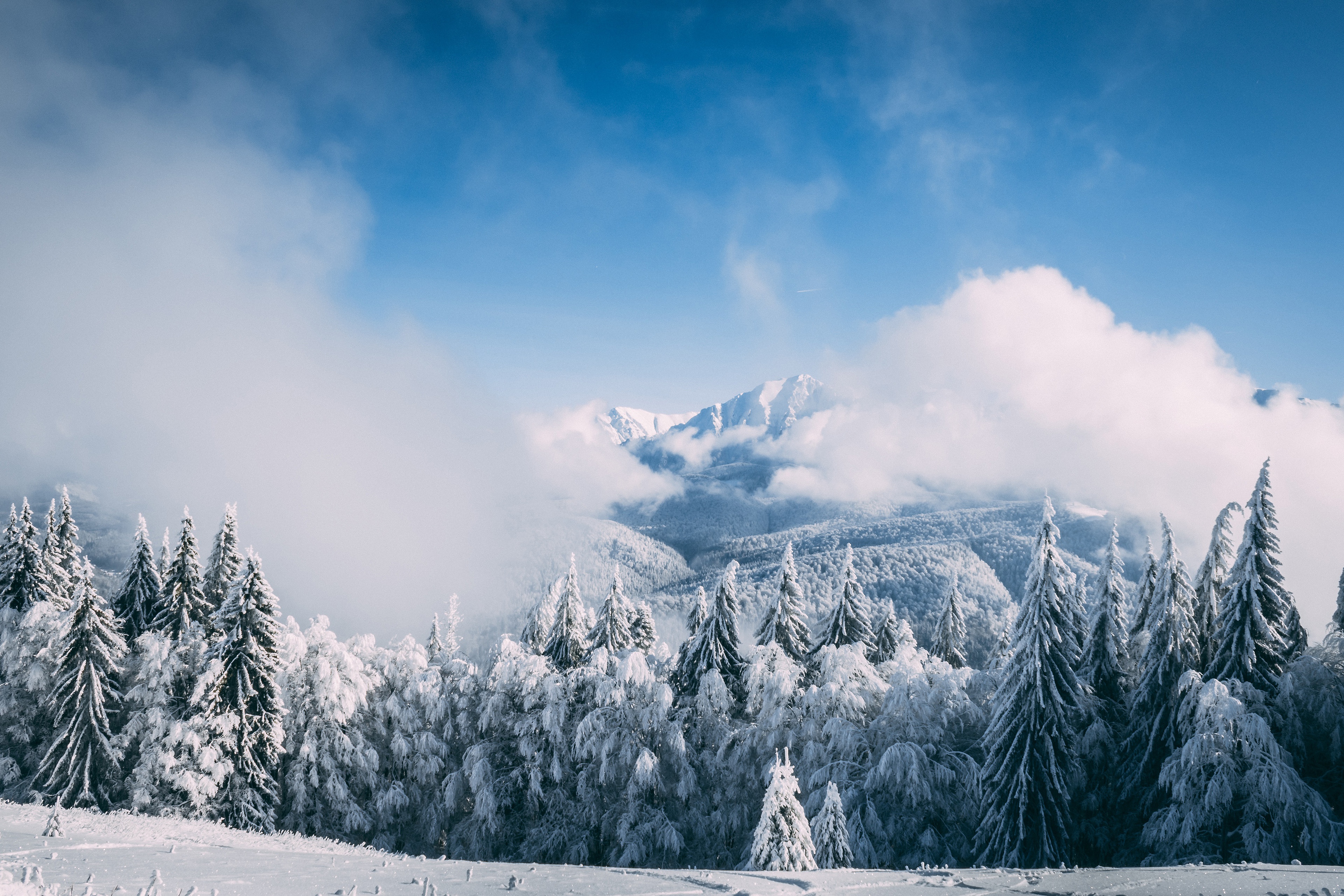 1005691 Bild herunterladen erde/natur, winter, wolke, tanne, nebel, gebirge, himmel, schnee - Hintergrundbilder und Bildschirmschoner kostenlos