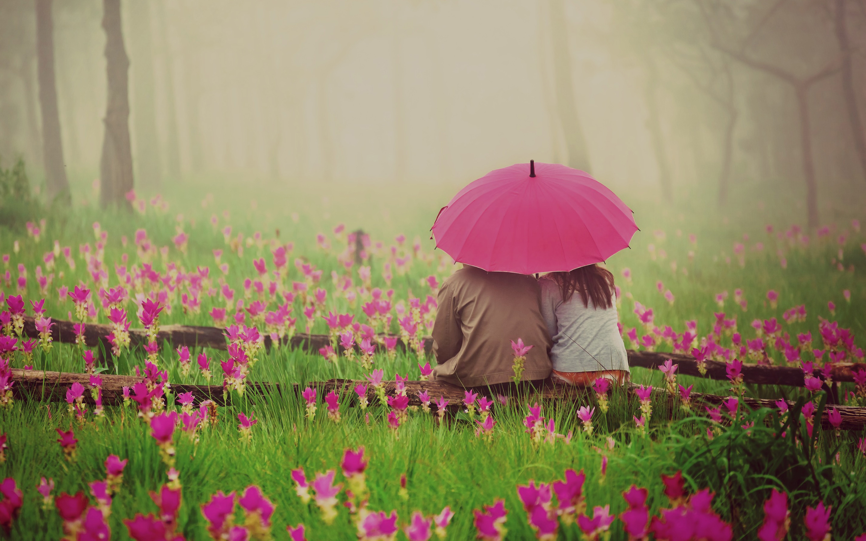 Free download wallpaper Love, Flower, Couple, Umbrella, Photography on your PC desktop