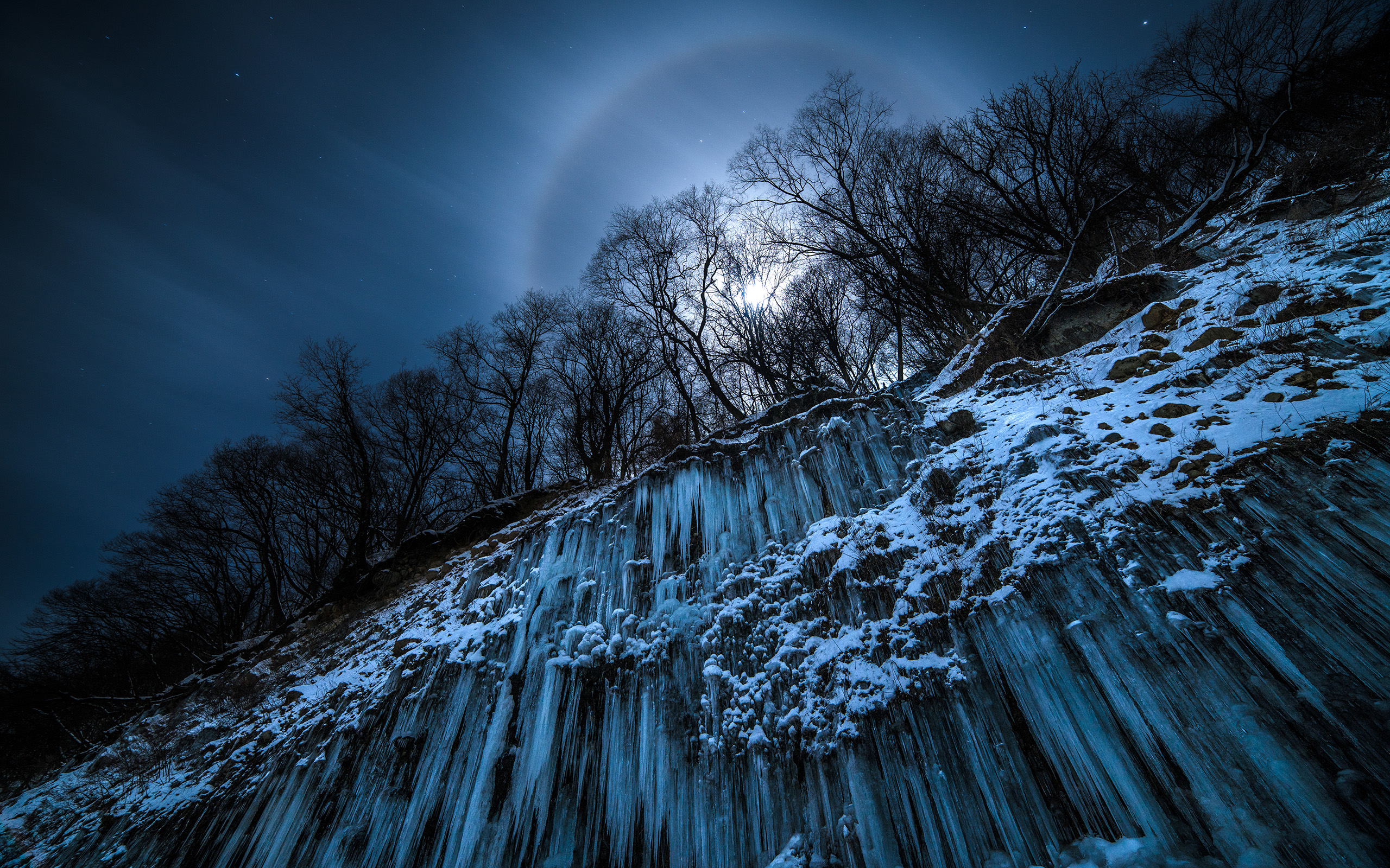 Download mobile wallpaper Winter, Ice, Night, Snow, Tree, Earth, Cliff for free.