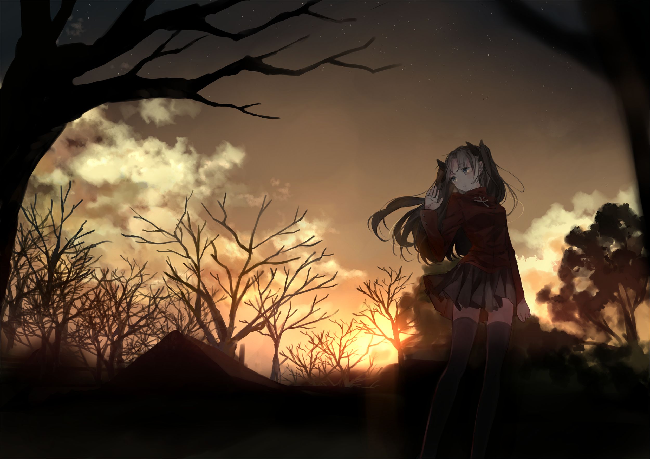 Descarga gratuita de fondo de pantalla para móvil de Animado, Fate/stay Night, Rin Tohsaka, Serie Del Destino.