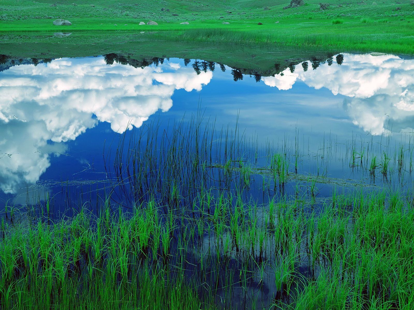 Download mobile wallpaper Field, Clouds, Reflection, Grass, Sky, Lake, Nature for free.