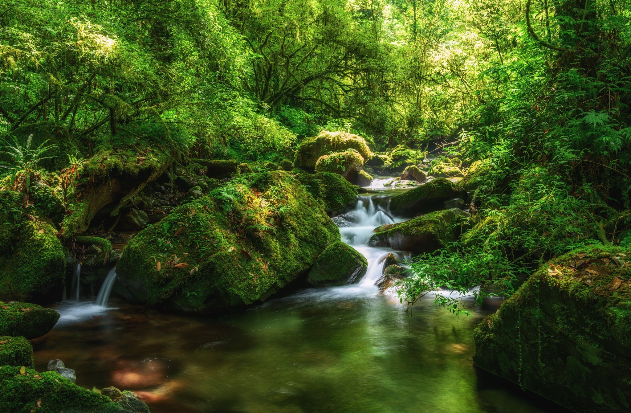 Free download wallpaper Waterfalls, Waterfall, Forest, Earth, Stone, Moss on your PC desktop