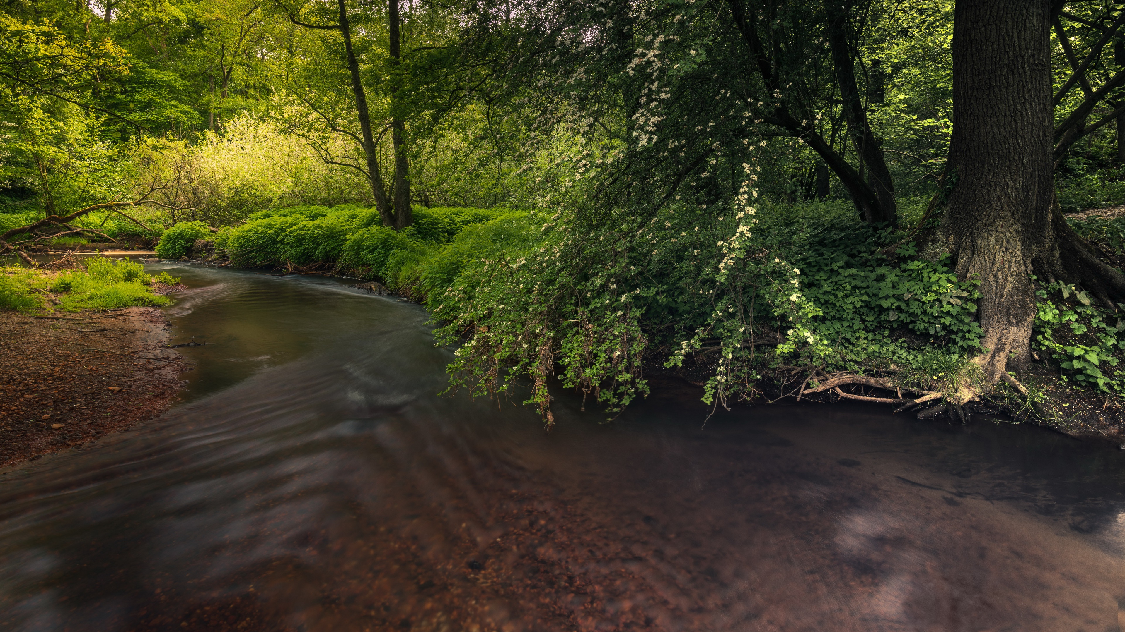 Handy-Wallpaper Fluss, Erde/natur kostenlos herunterladen.