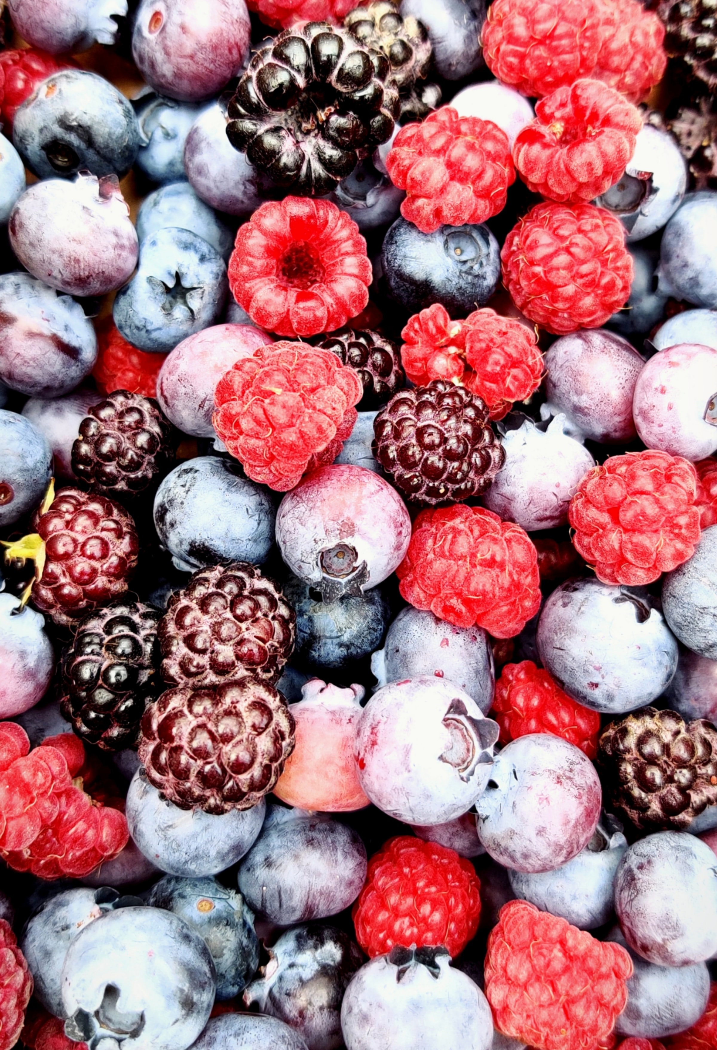 fruits, bilberries, food, raspberry, berries phone background