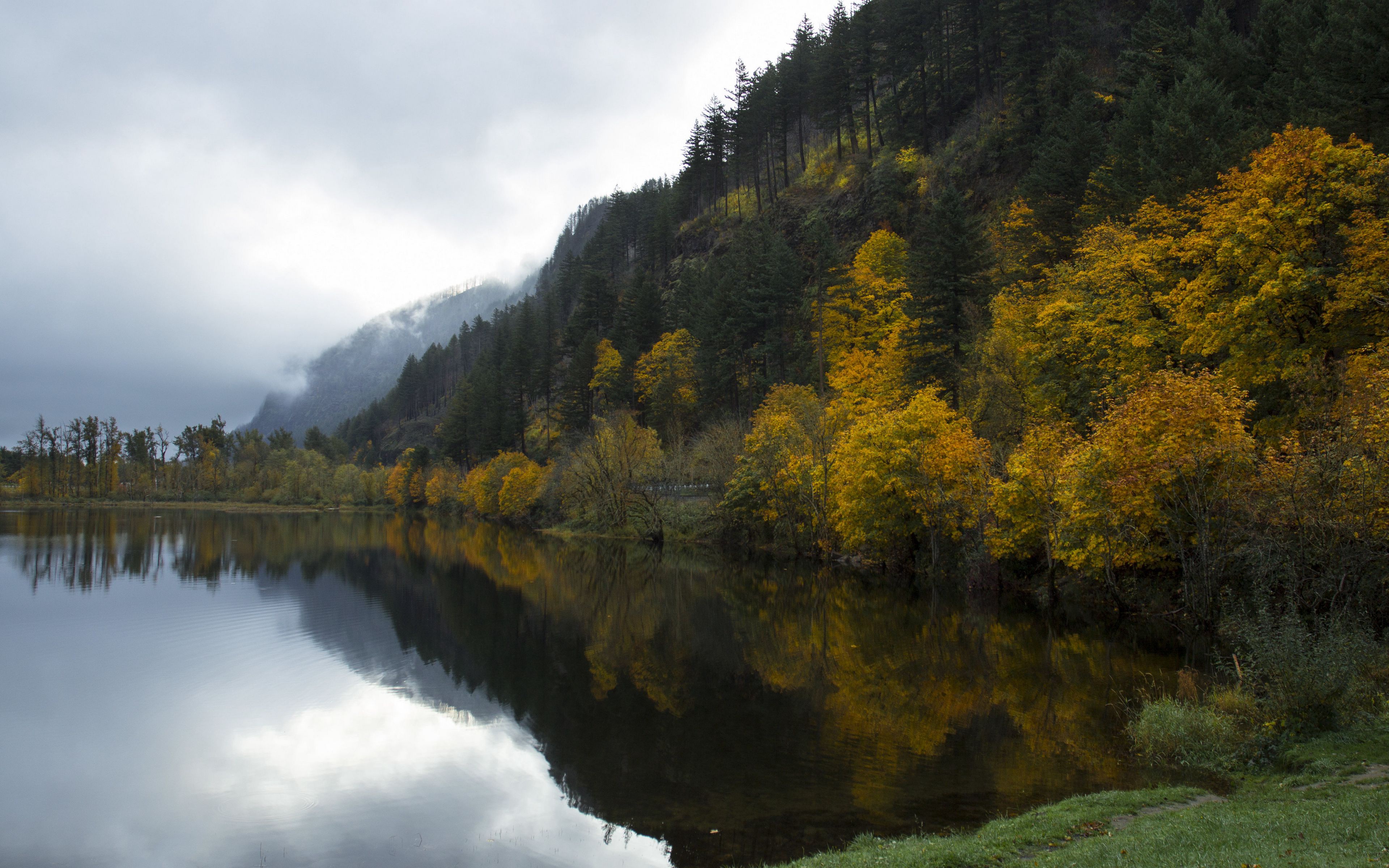 Laden Sie das Herbst, Seen, See, Wald, Nebel, Gebirge, Erde/natur, Spiegelung-Bild kostenlos auf Ihren PC-Desktop herunter