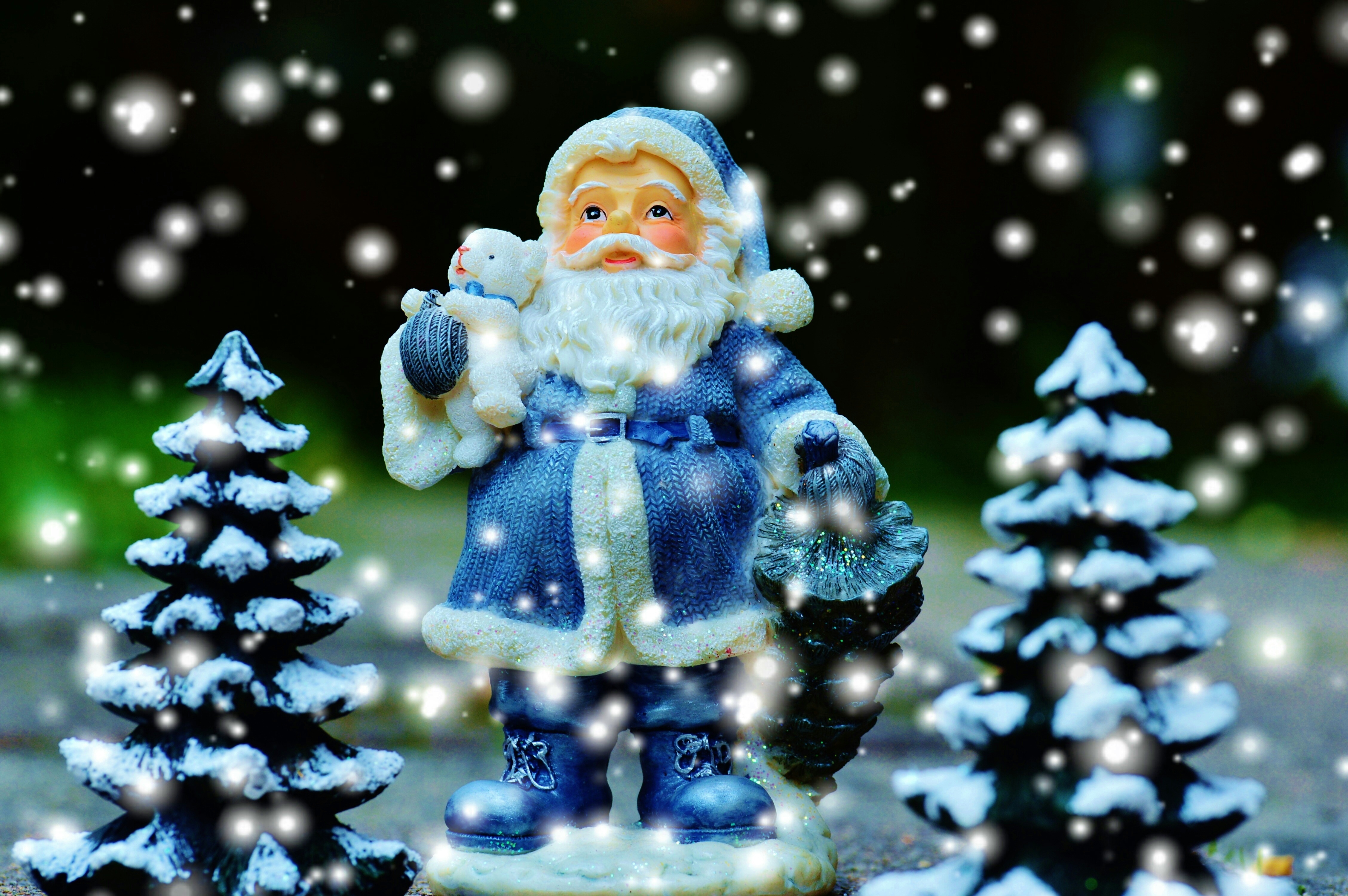 Download mobile wallpaper New Year, Fir Trees, Holidays, Santa Claus, Christmas for free.