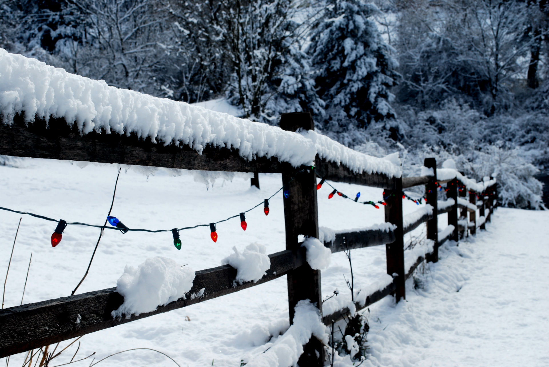 Скачать обои бесплатно Зима, Снег, Рождество, Ограда, Праздничные, Рождественские Огни картинка на рабочий стол ПК