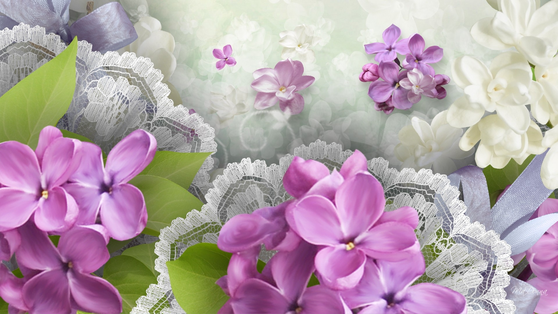 Download mobile wallpaper Flowers, Lilac, Flower, Artistic, White Flower, Purple Flower for free.