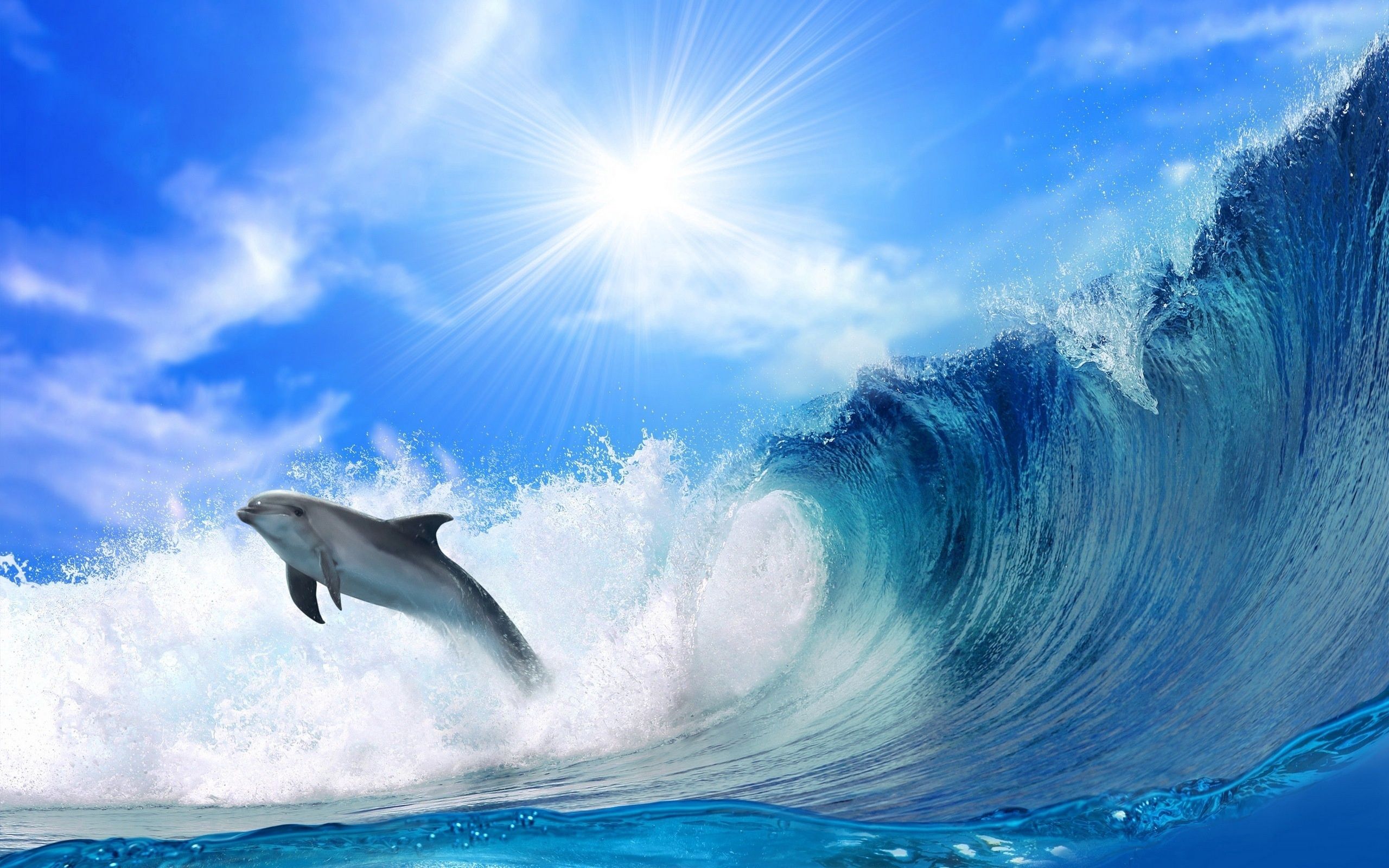 dolphin, animals, waves, shine, light, bounce, jump Full HD
