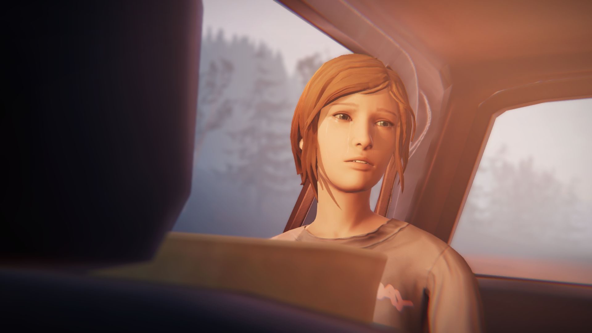 Download mobile wallpaper Video Game, Life Is Strange, Life Is Strange: Before The Storm for free.